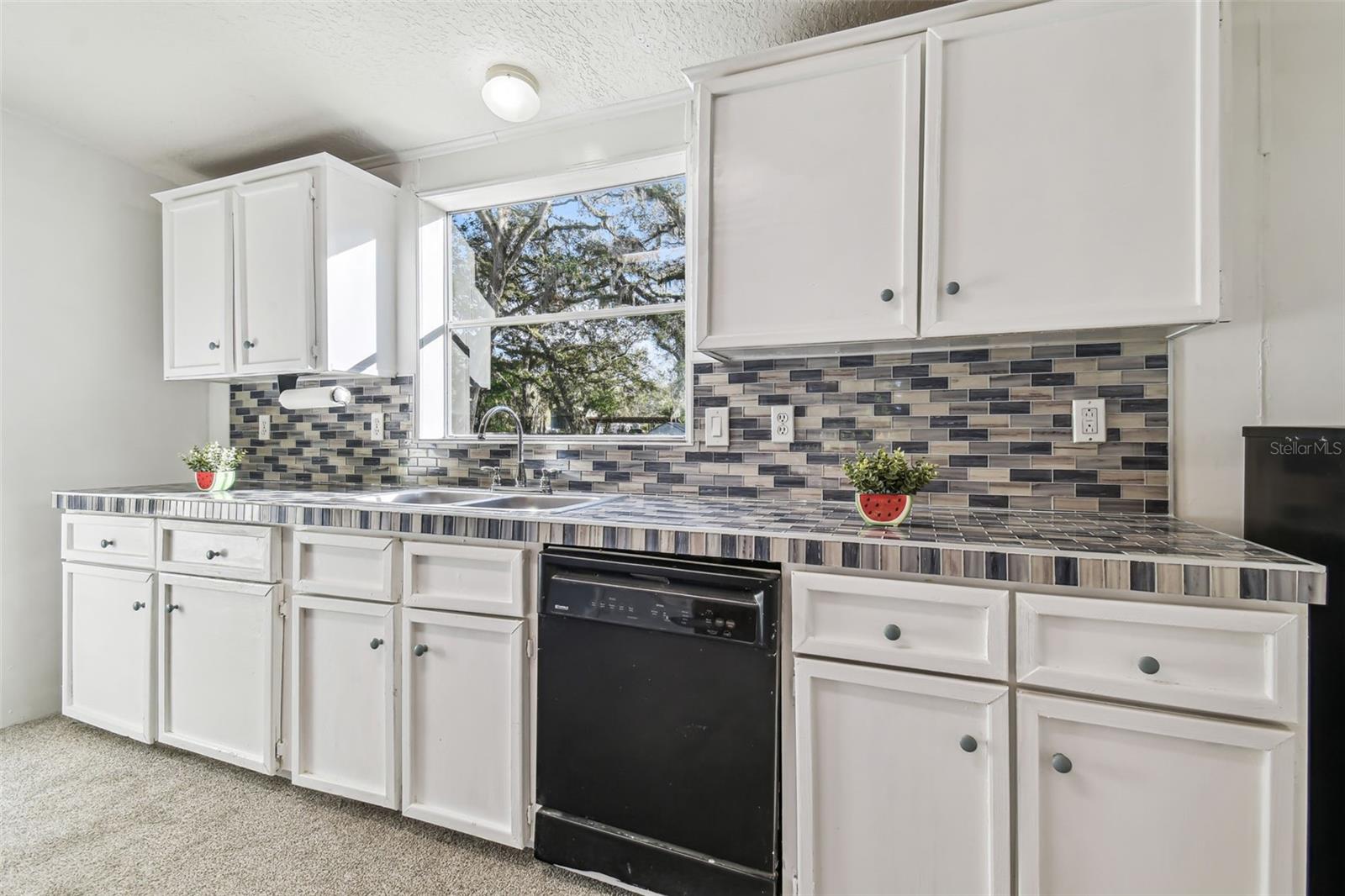 5530 EUREKA SPRINGS RD, TAMPA, FL, 33610