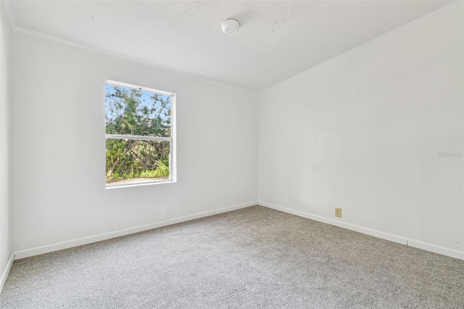 5530 EUREKA SPRINGS RD, TAMPA, FL, 33610