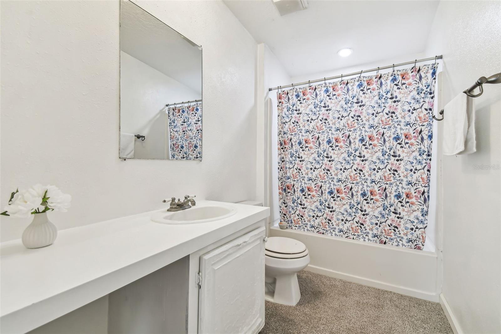5530 EUREKA SPRINGS RD, TAMPA, FL, 33610
