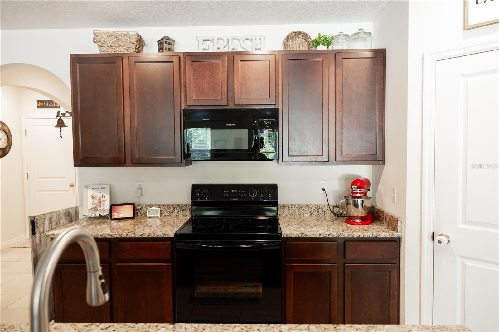 10029 WARM STONE ST, THONOTOSASSA, FL, 33592