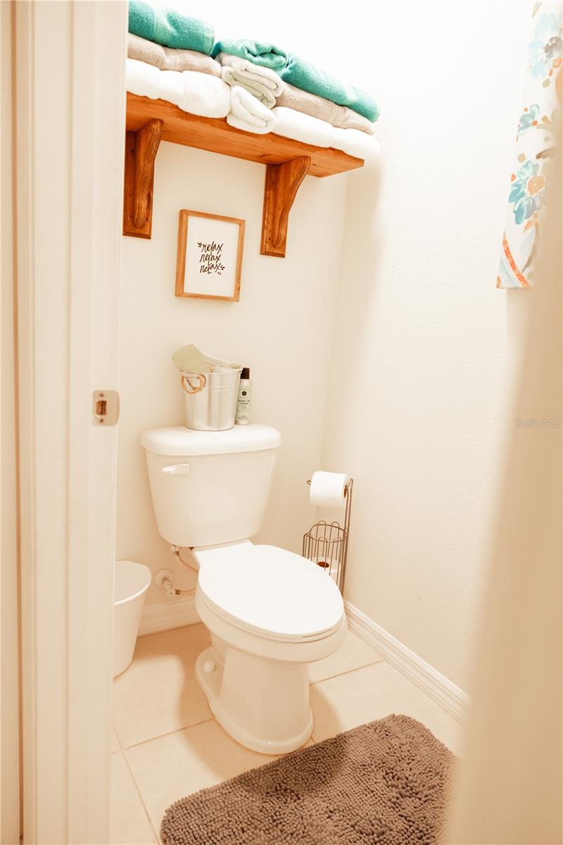 10029 WARM STONE ST, THONOTOSASSA, FL, 33592