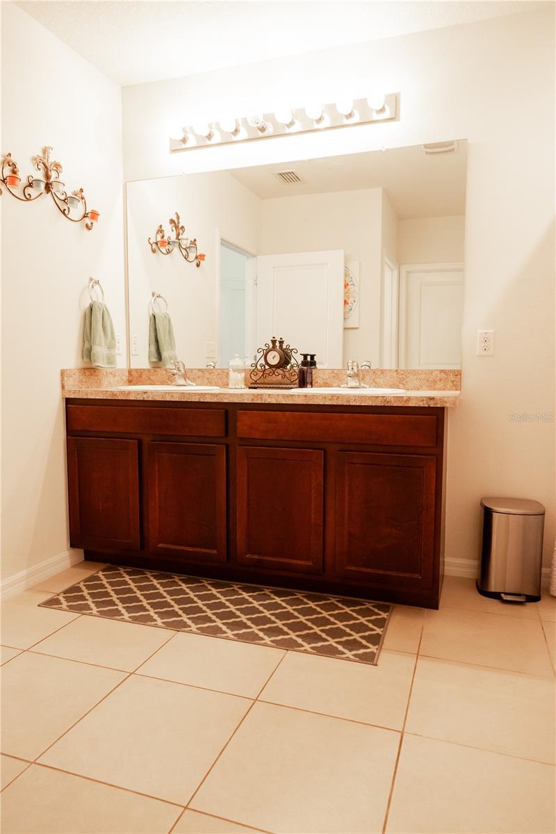 10029 WARM STONE ST, THONOTOSASSA, FL, 33592