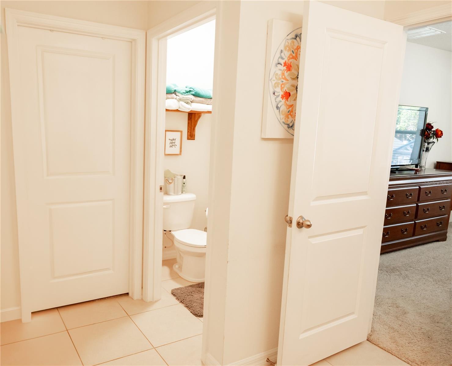 10029 WARM STONE ST, THONOTOSASSA, FL, 33592
