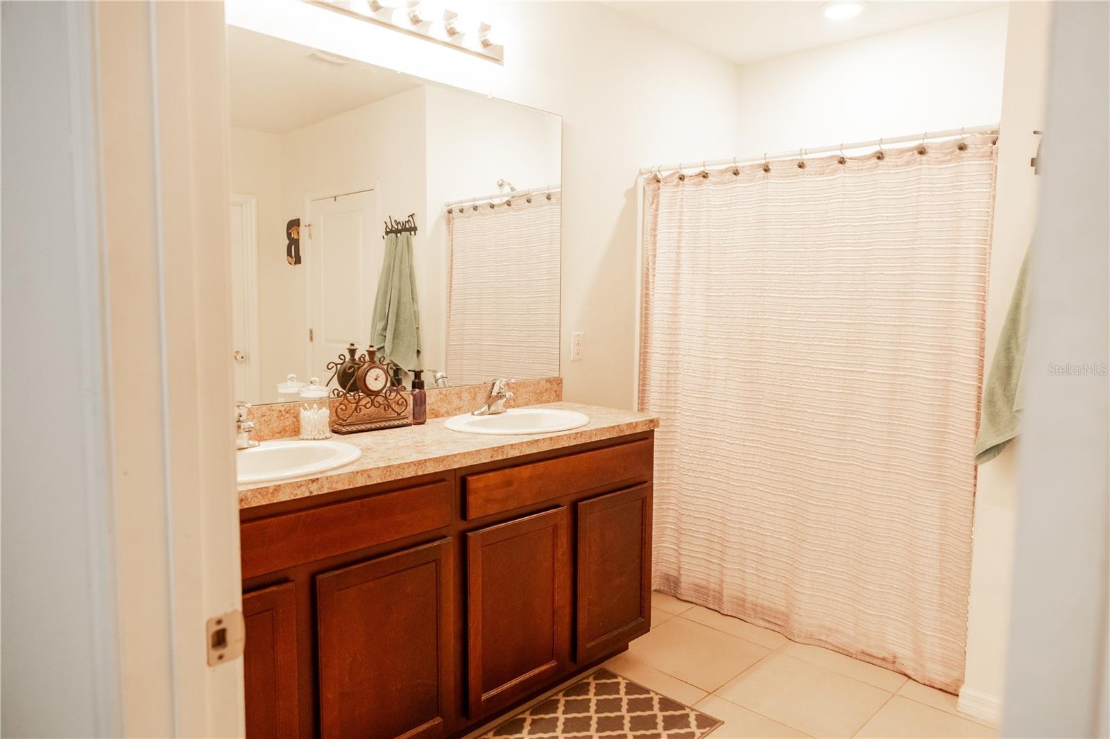 10029 WARM STONE ST, THONOTOSASSA, FL, 33592