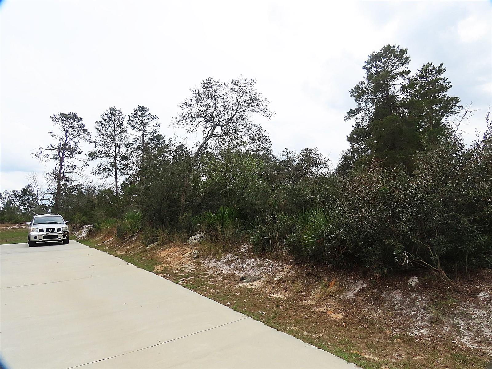 71 ORCHID CT, KISSIMMEE, FL, 34759