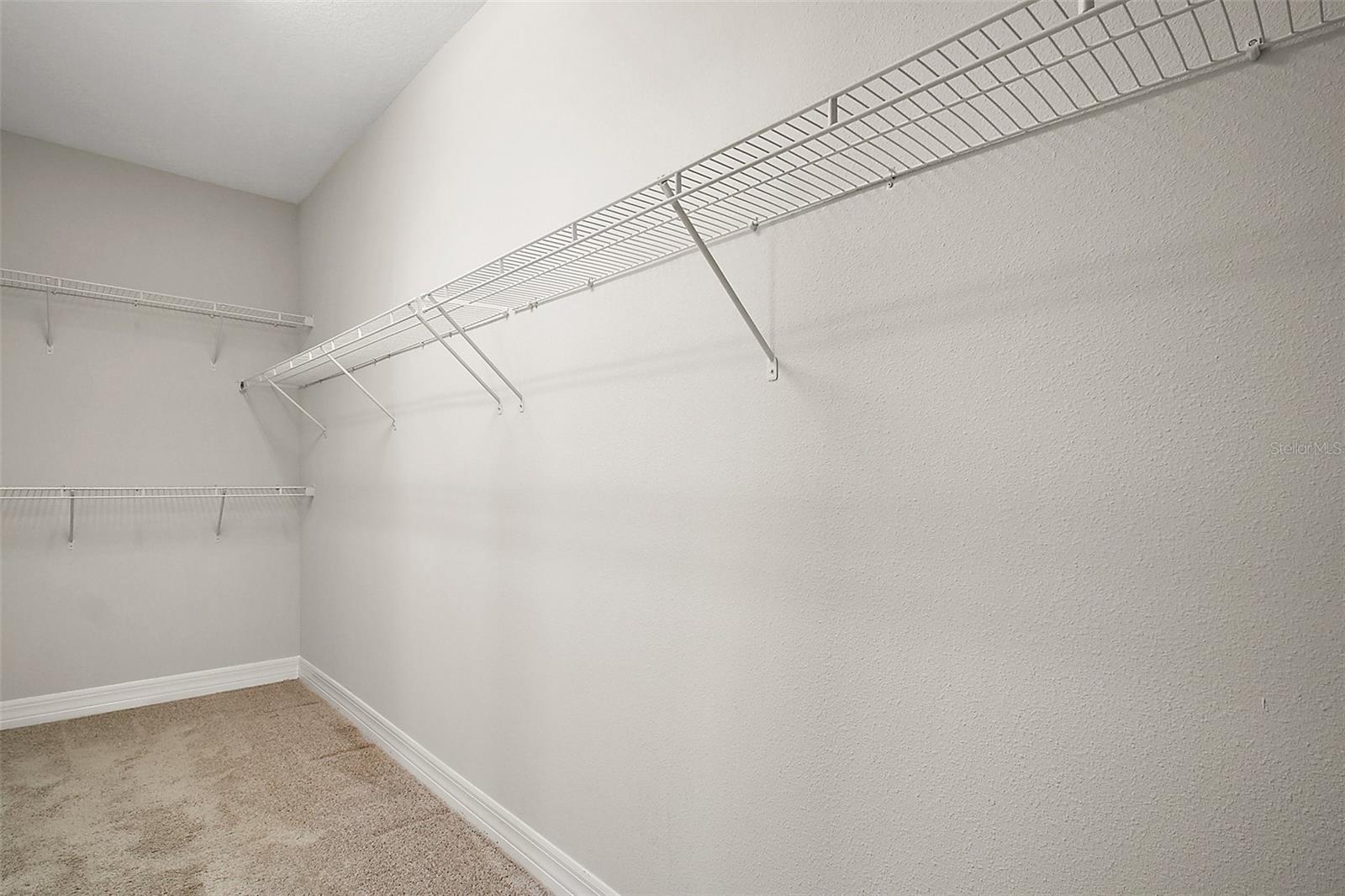 3139 HURSTON WATCH LN, CLERMONT, FL, 34711
