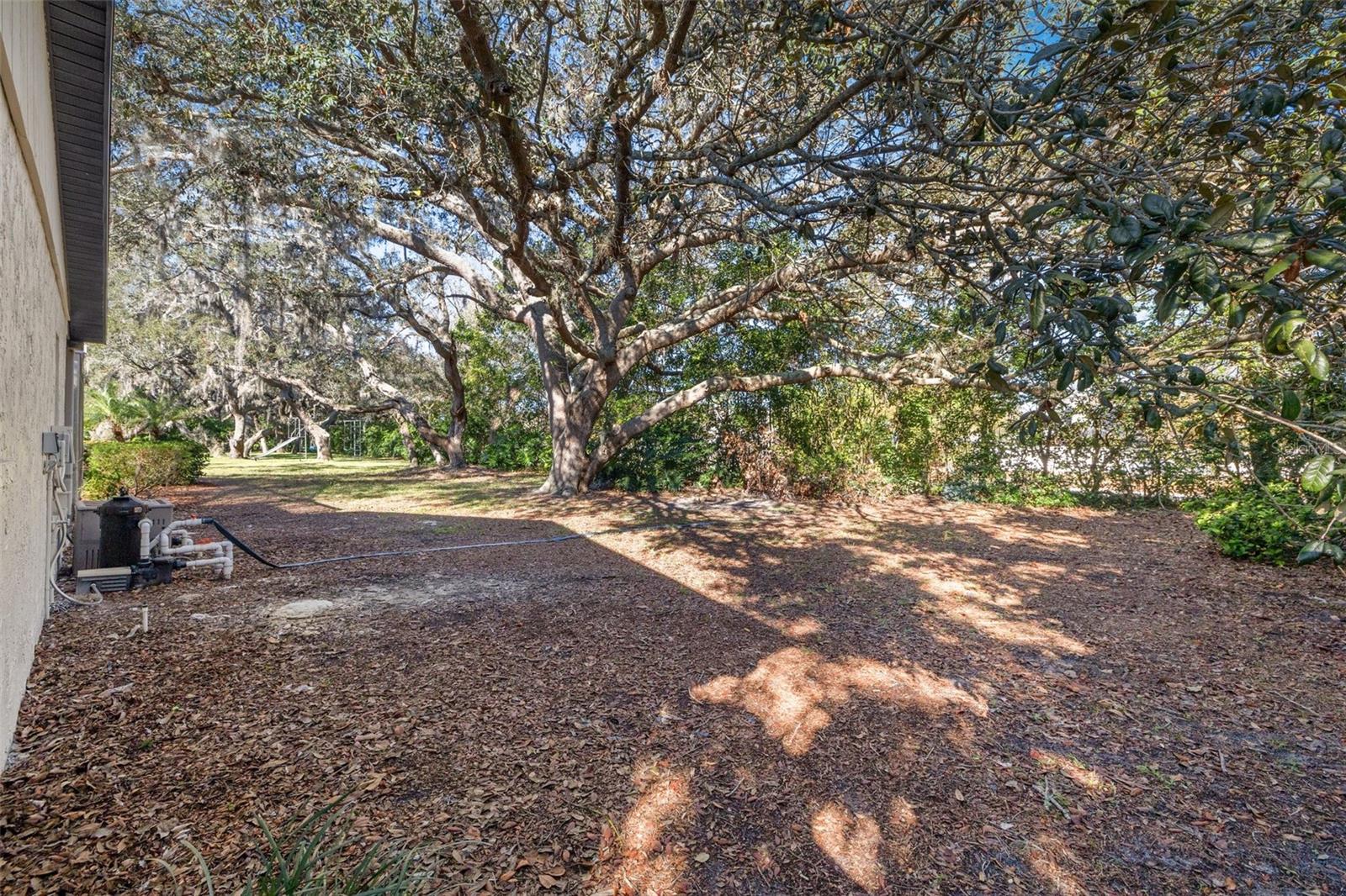 2846 PHEASANT RUN, CLEARWATER, FL, 33759