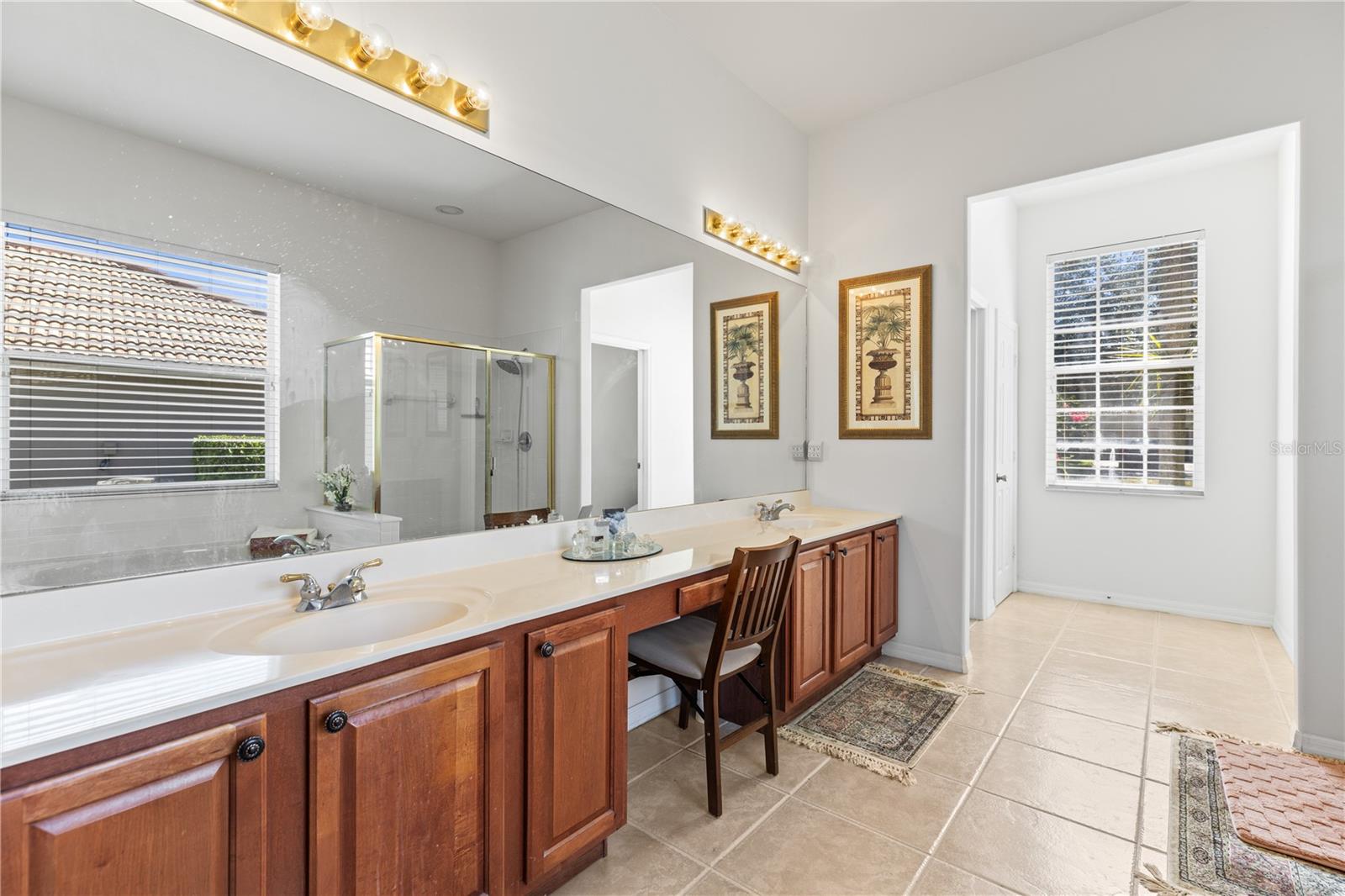 11321 LEDGEMENT LN, WINDERMERE, FL, 34786