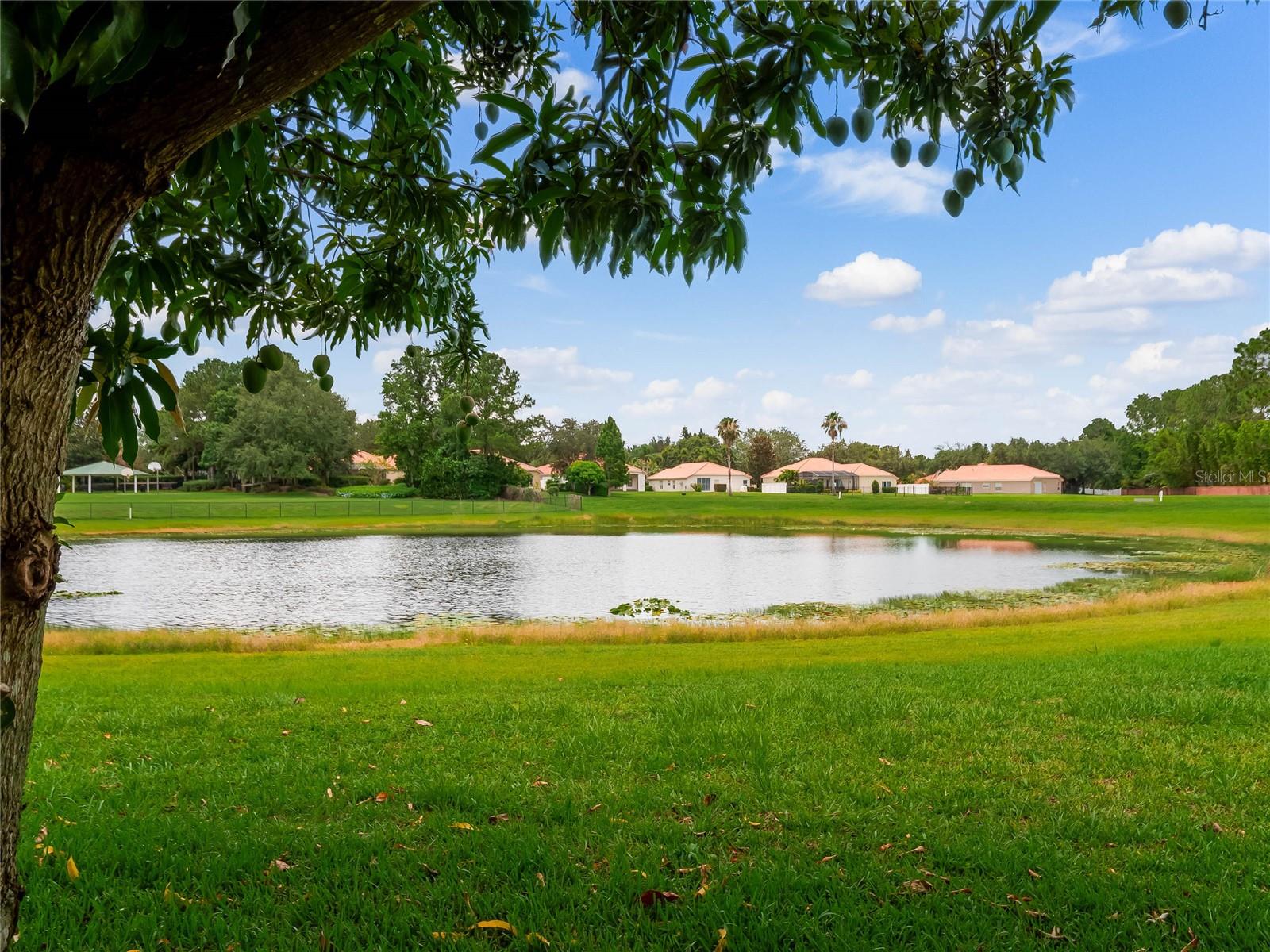 11321 LEDGEMENT LN, WINDERMERE, FL, 34786