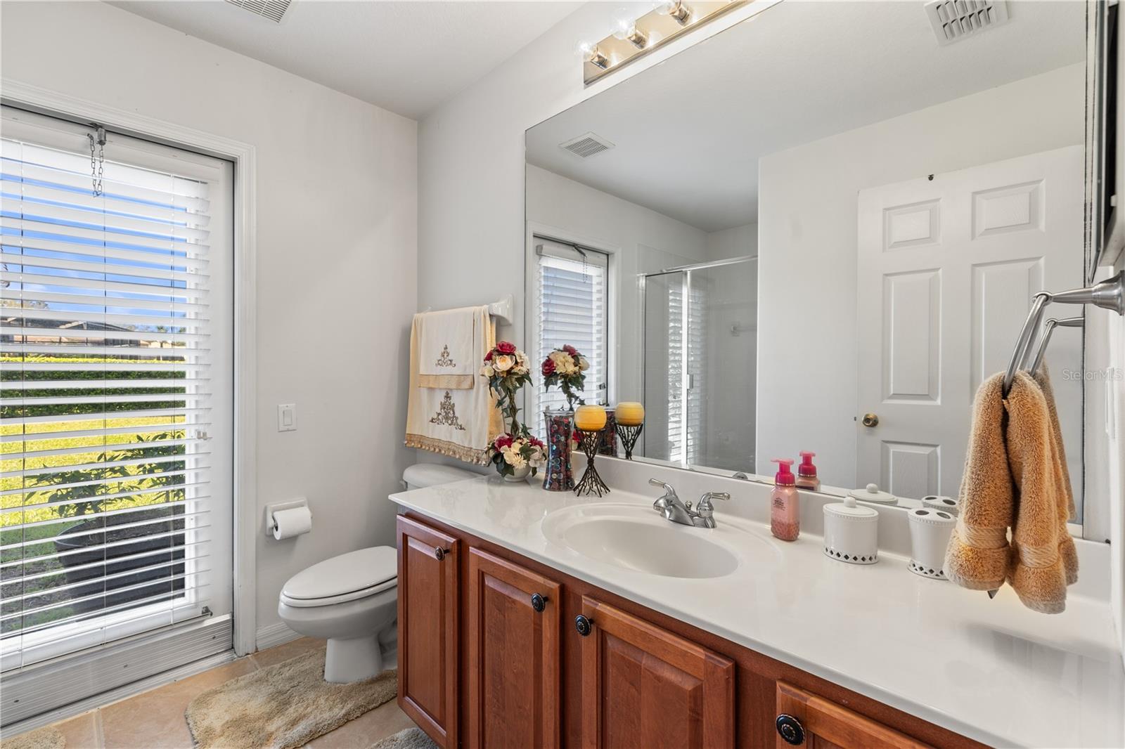 11321 LEDGEMENT LN, WINDERMERE, FL, 34786
