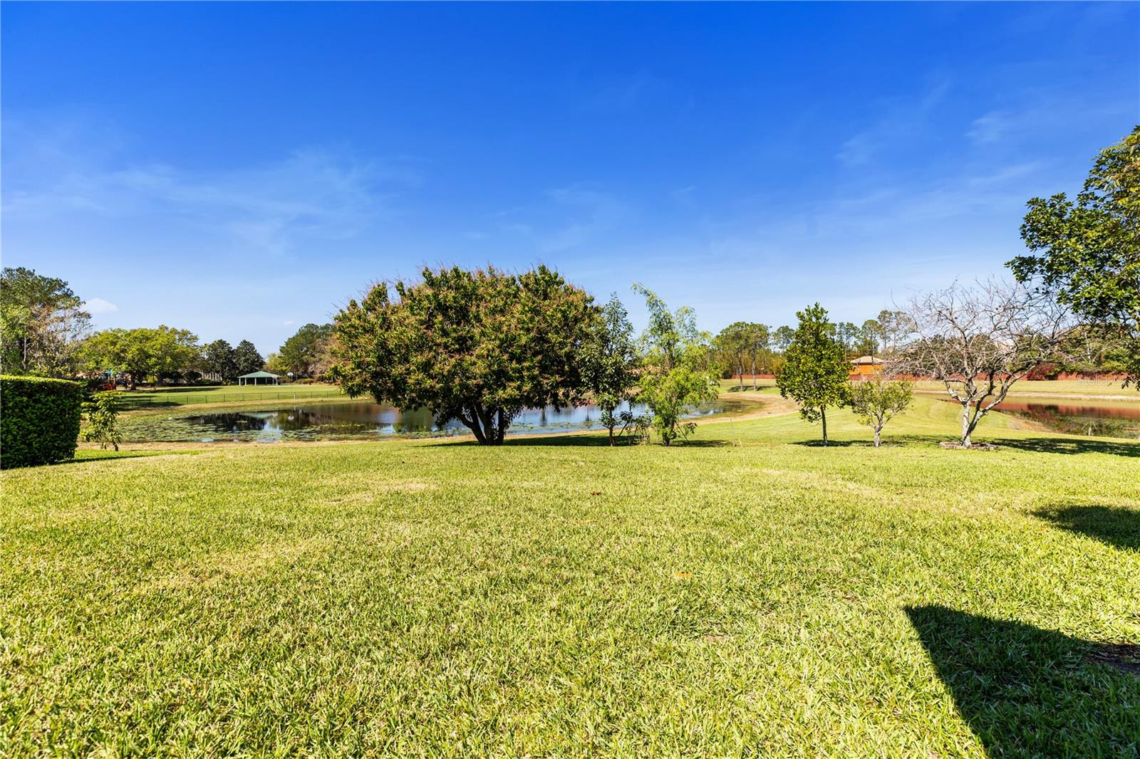 11321 LEDGEMENT LN, WINDERMERE, FL, 34786