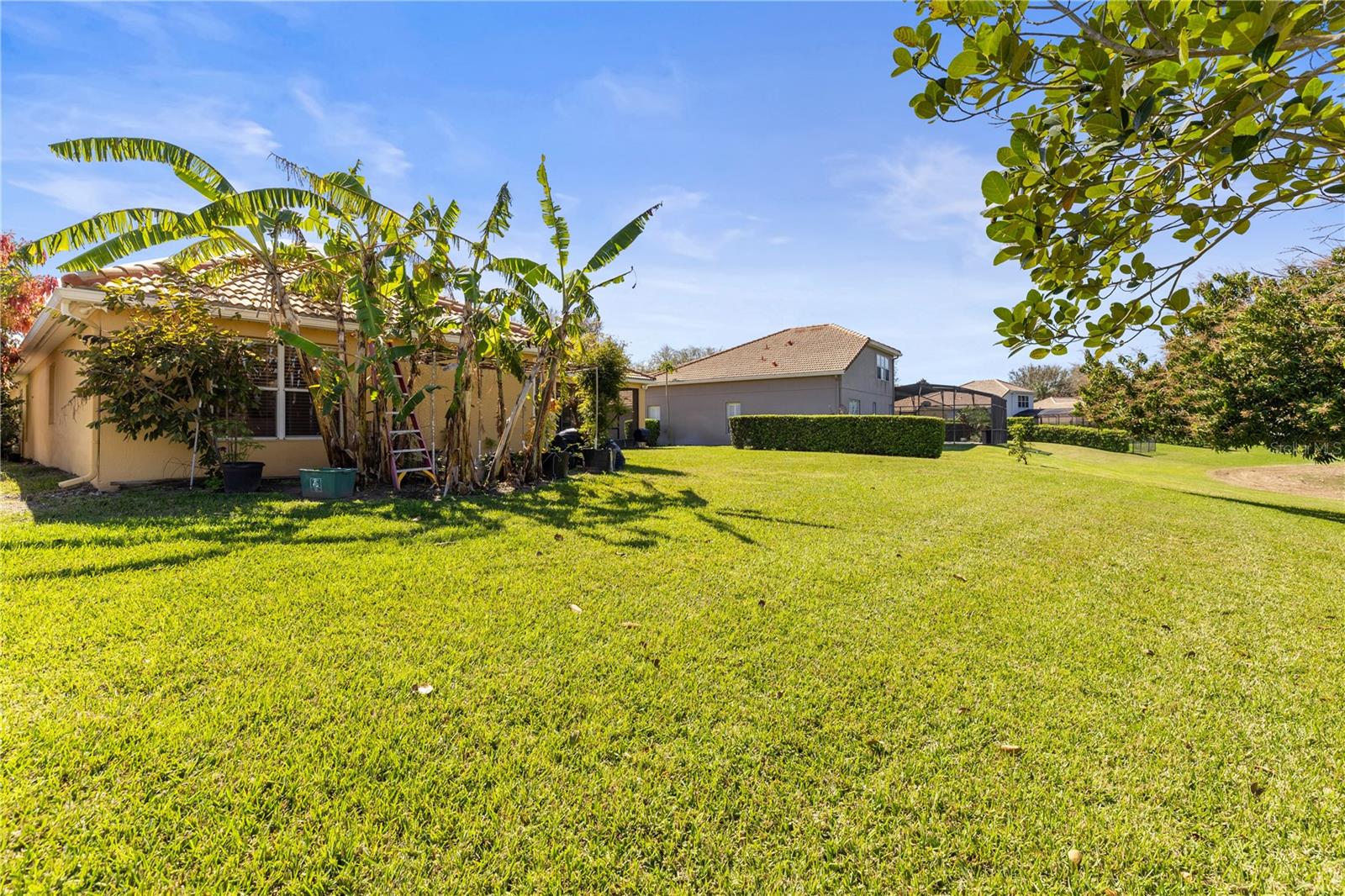 11321 LEDGEMENT LN, WINDERMERE, FL, 34786