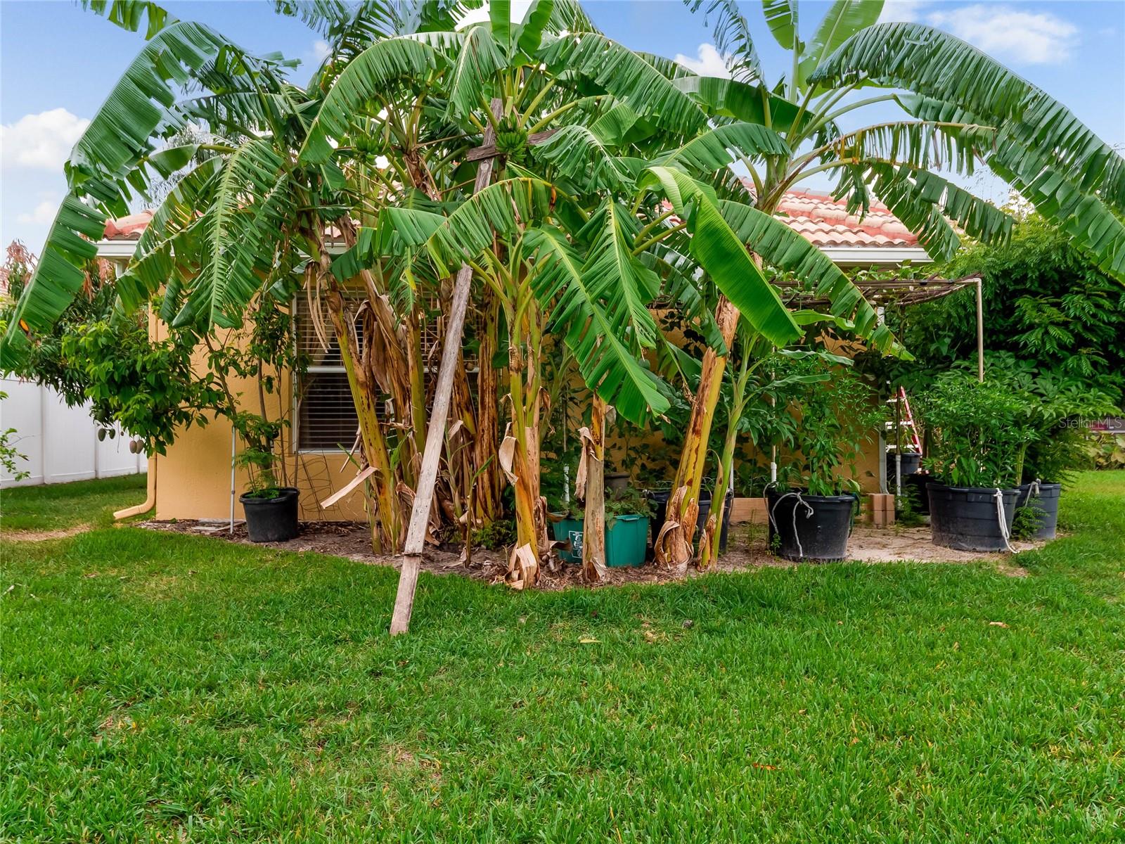 11321 LEDGEMENT LN, WINDERMERE, FL, 34786