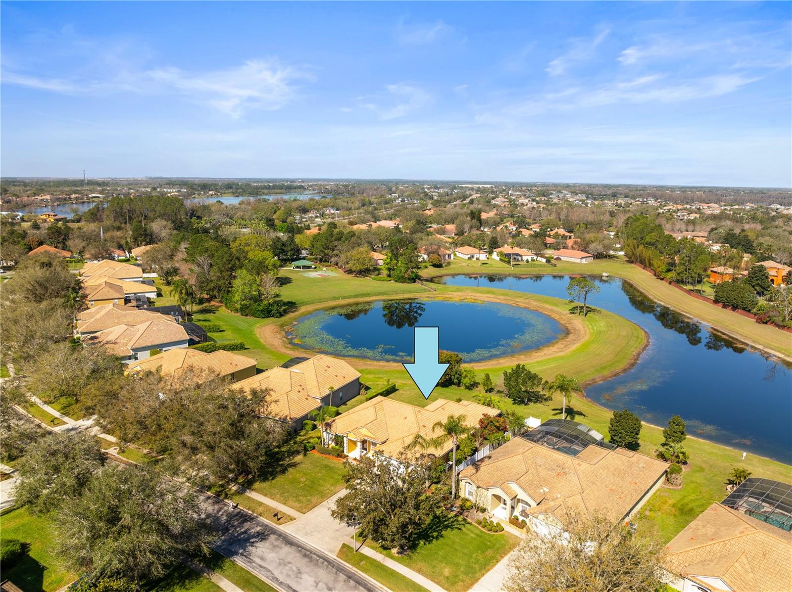 11321 LEDGEMENT LN, WINDERMERE, FL, 34786