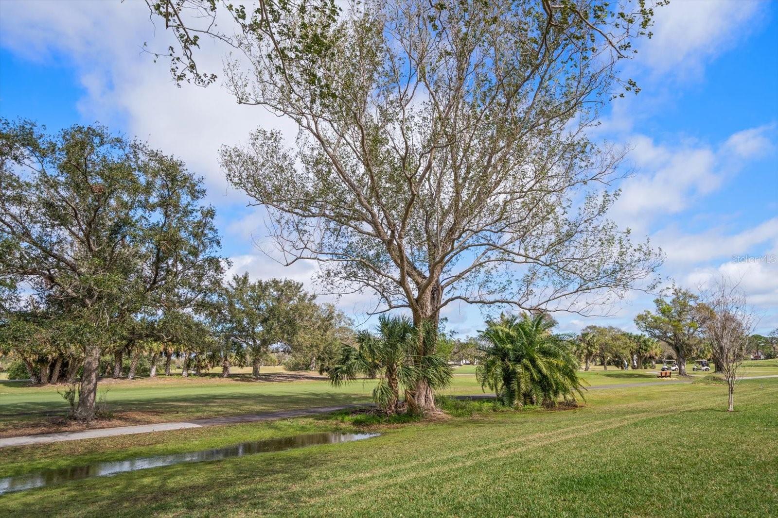8003 BARDMOOR PL #204, SEMINOLE, FL, 33777