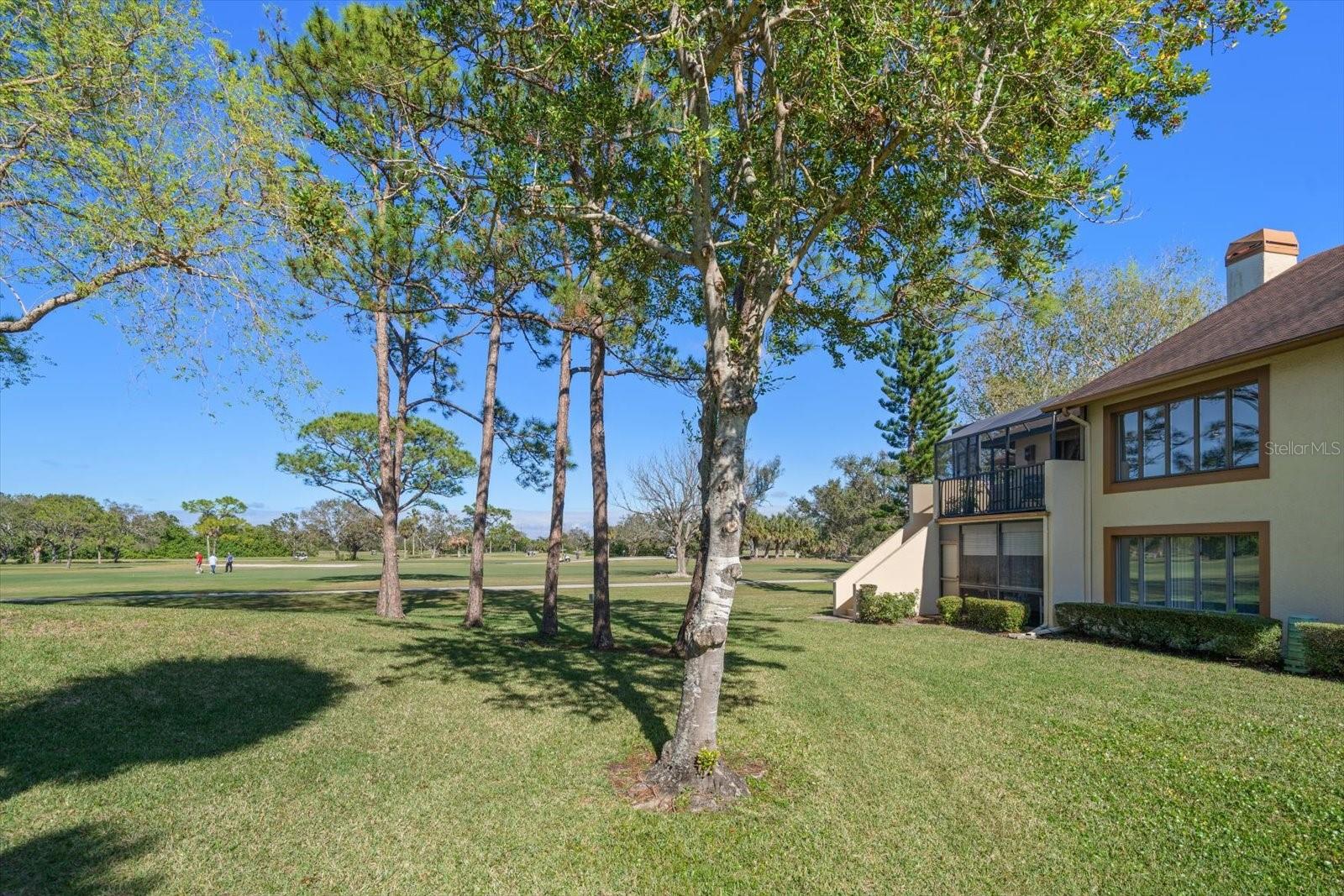 8003 BARDMOOR PL #204, SEMINOLE, FL, 33777