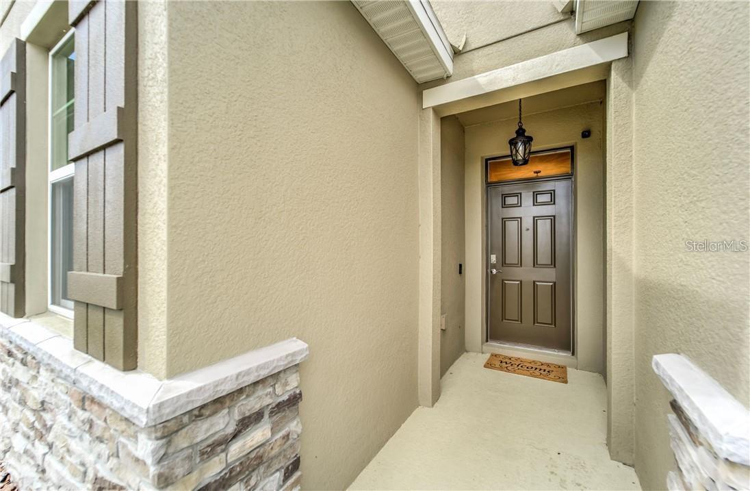 31878 TANSY BEND, WESLEY CHAPEL, FL, 33545