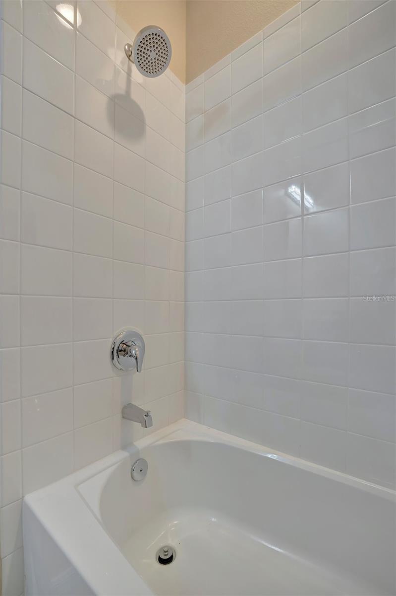 31878 TANSY BEND, WESLEY CHAPEL, FL, 33545