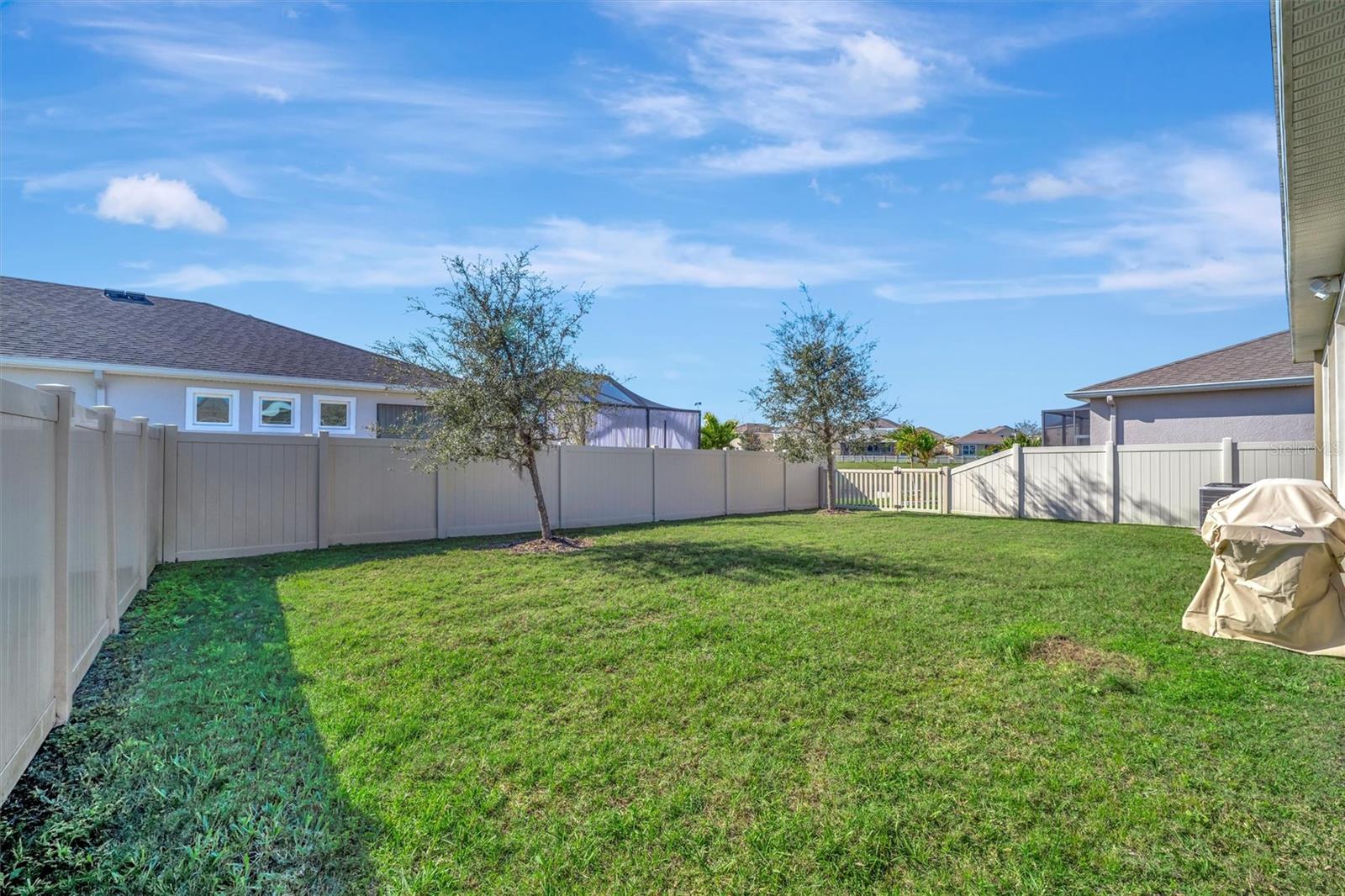 31878 TANSY BEND, WESLEY CHAPEL, FL, 33545
