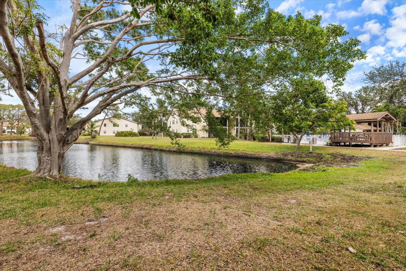 748 WHITE PINE TREE RD #204, VENICE, FL, 34285