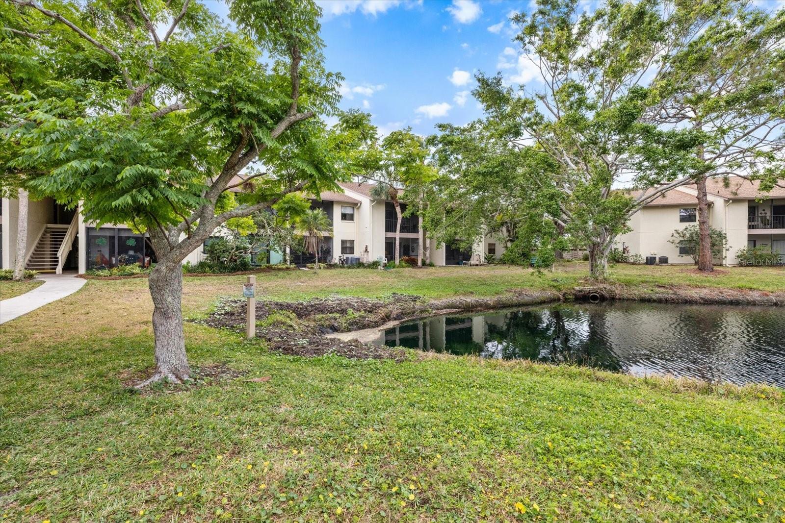 748 WHITE PINE TREE RD #204, VENICE, FL, 34285