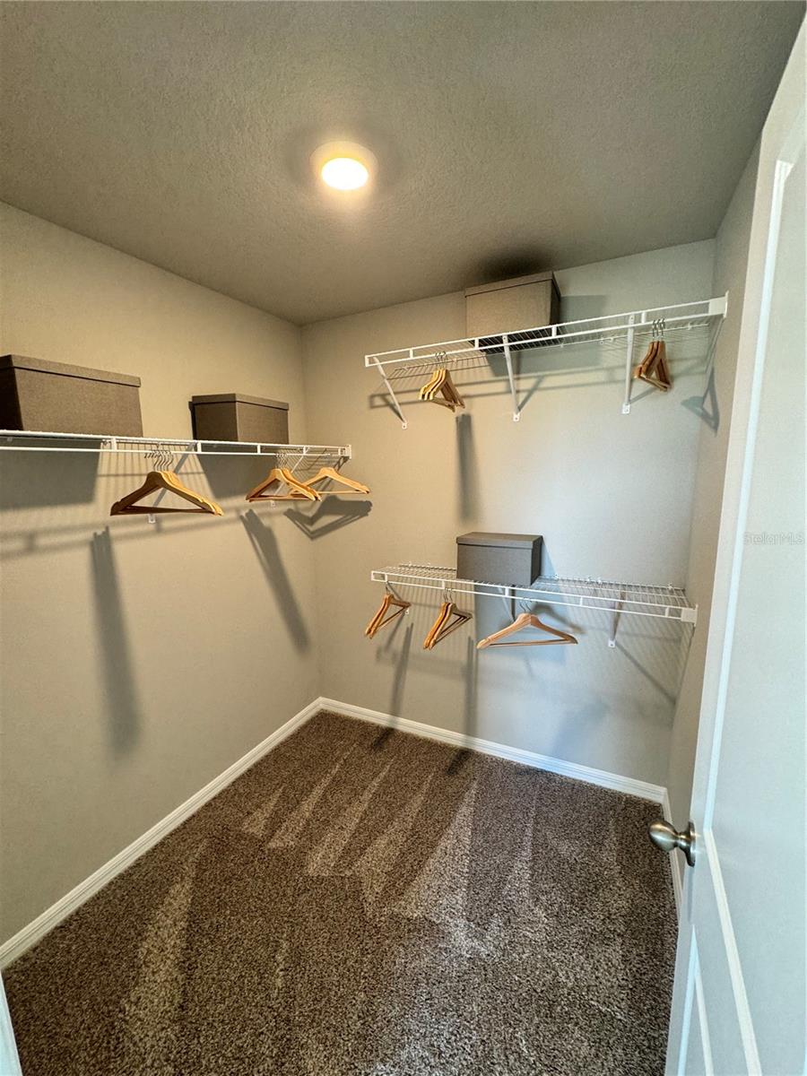32059 POND APPLE BND, SAN ANTONIO, FL, 33576