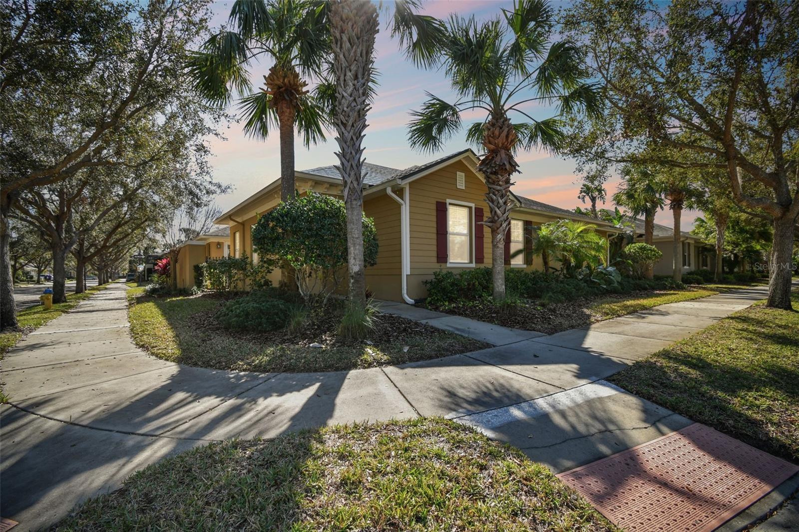 11329 RAVINIA PARK BLVD, TAMPA, FL, 33625