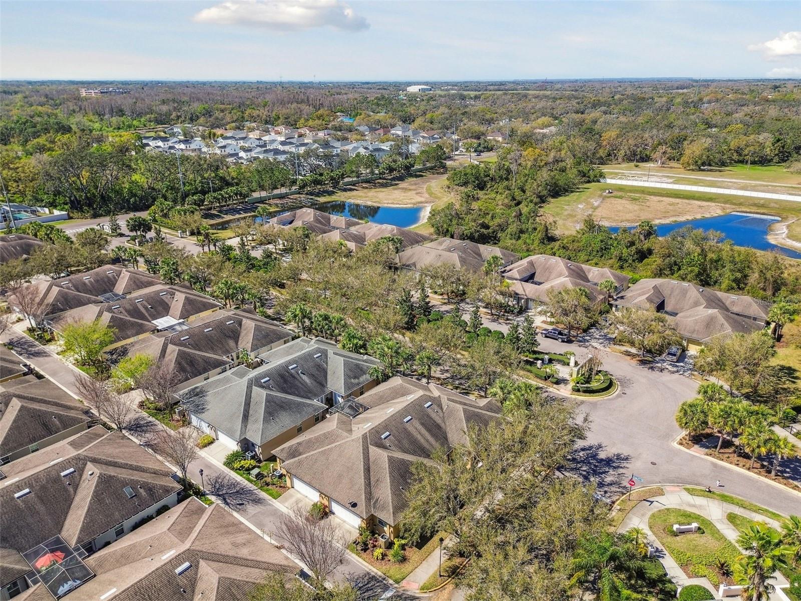 11329 RAVINIA PARK BLVD, TAMPA, FL, 33625