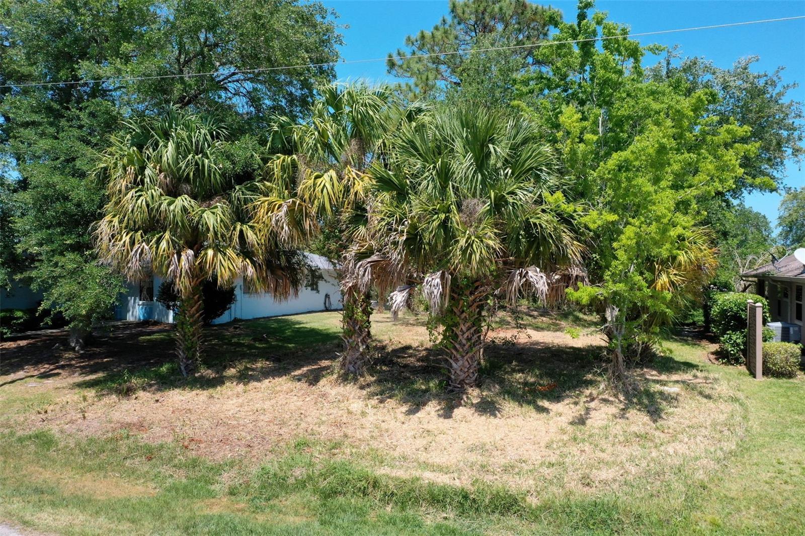 6 CORONA CT, PALM COAST, FL, 32137