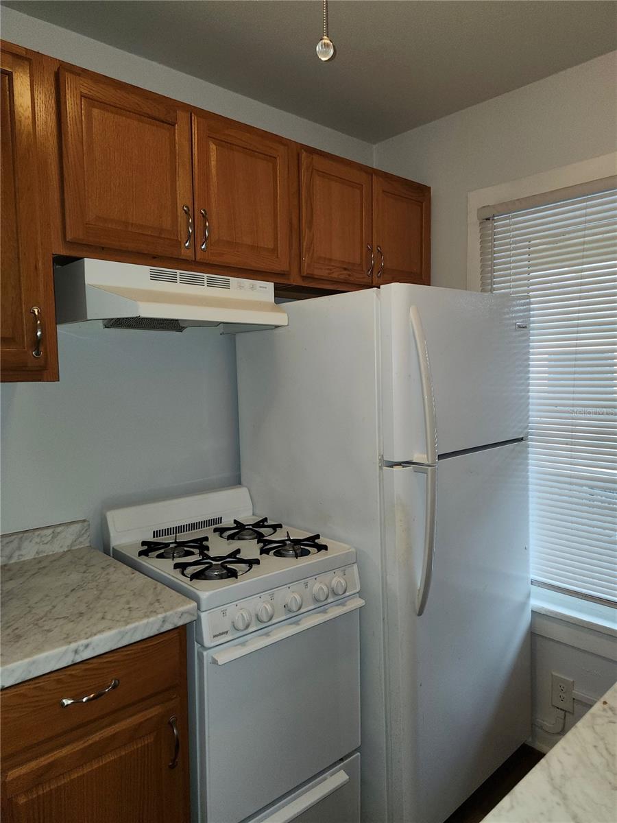 421 NW 10TH AV, GAINESVILLE, FL, 32601