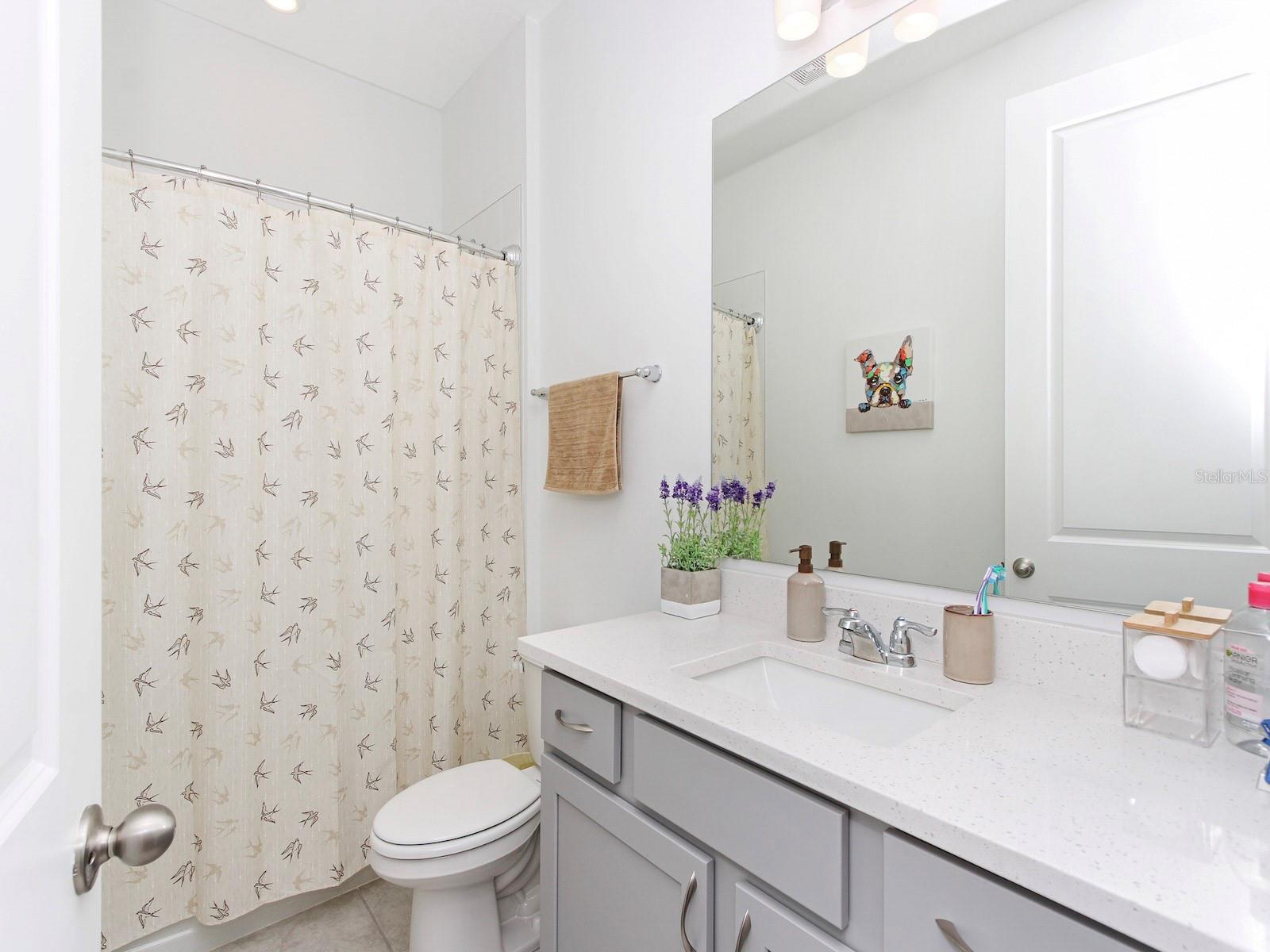 4507 LIONS GATE AVE, CLERMONT, FL, 34711