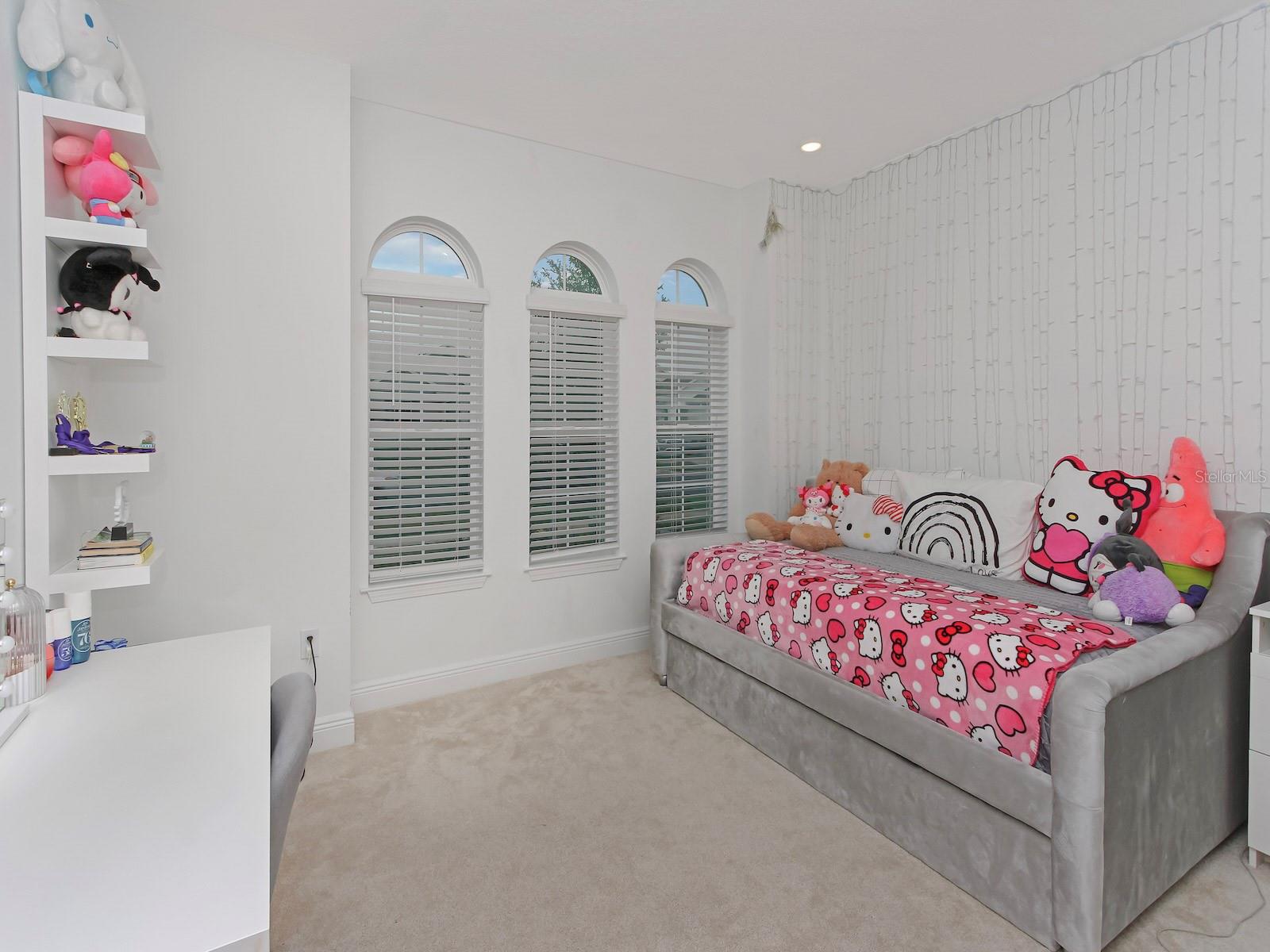 4507 LIONS GATE AVE, CLERMONT, FL, 34711