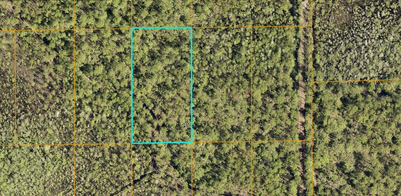 INACCESSIBLE TRAK, DELAND, FL, 32724