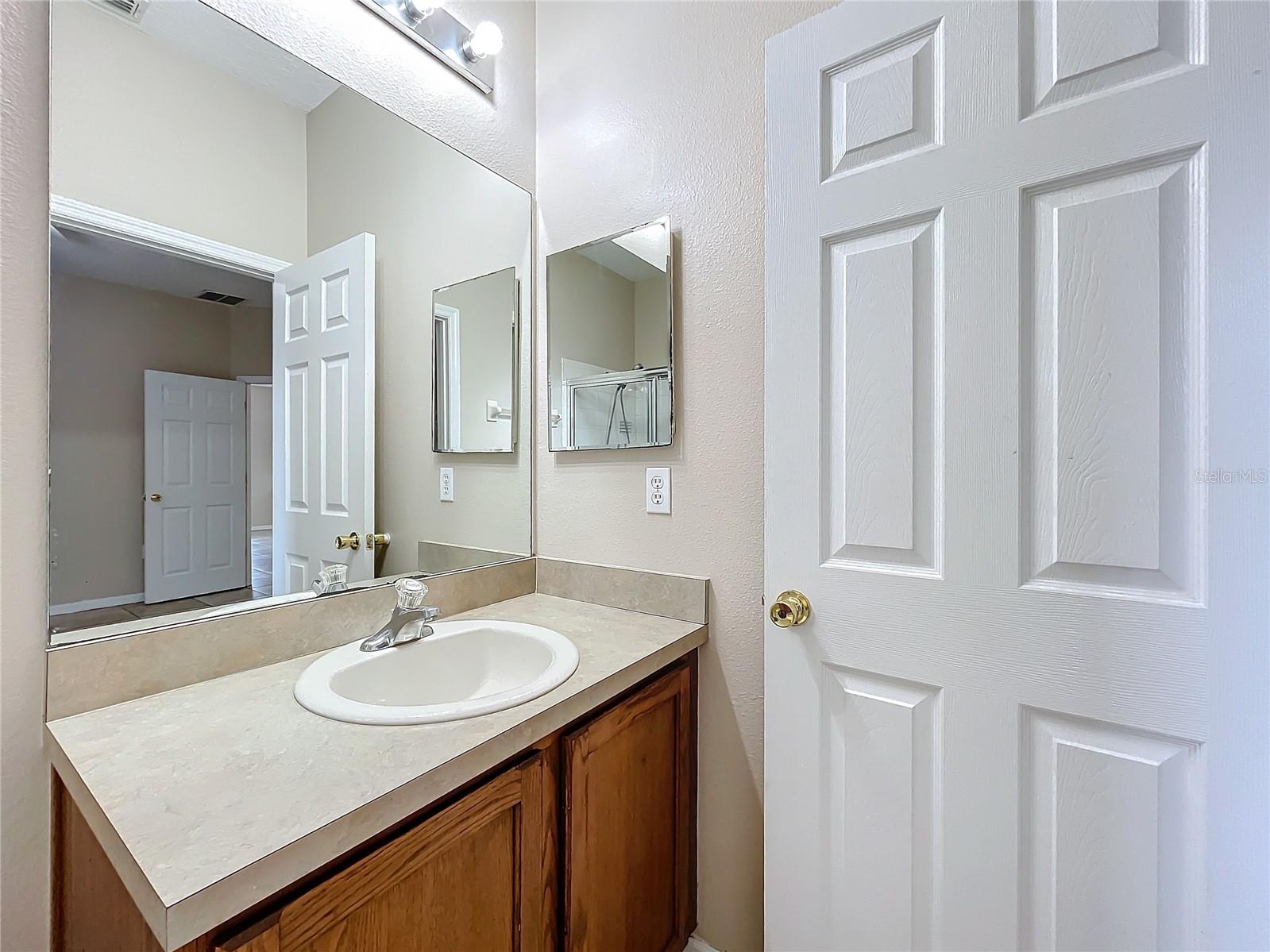 250 RYANS RIDGE AVE, EUSTIS, FL, 32726