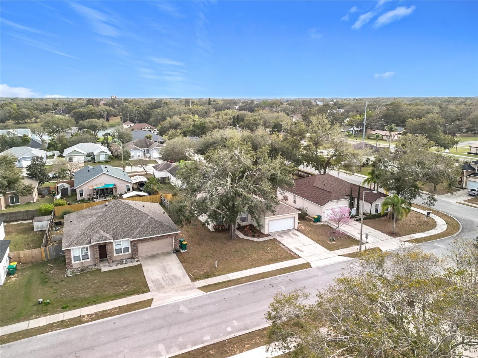 250 RYANS RIDGE AVE, EUSTIS, FL, 32726