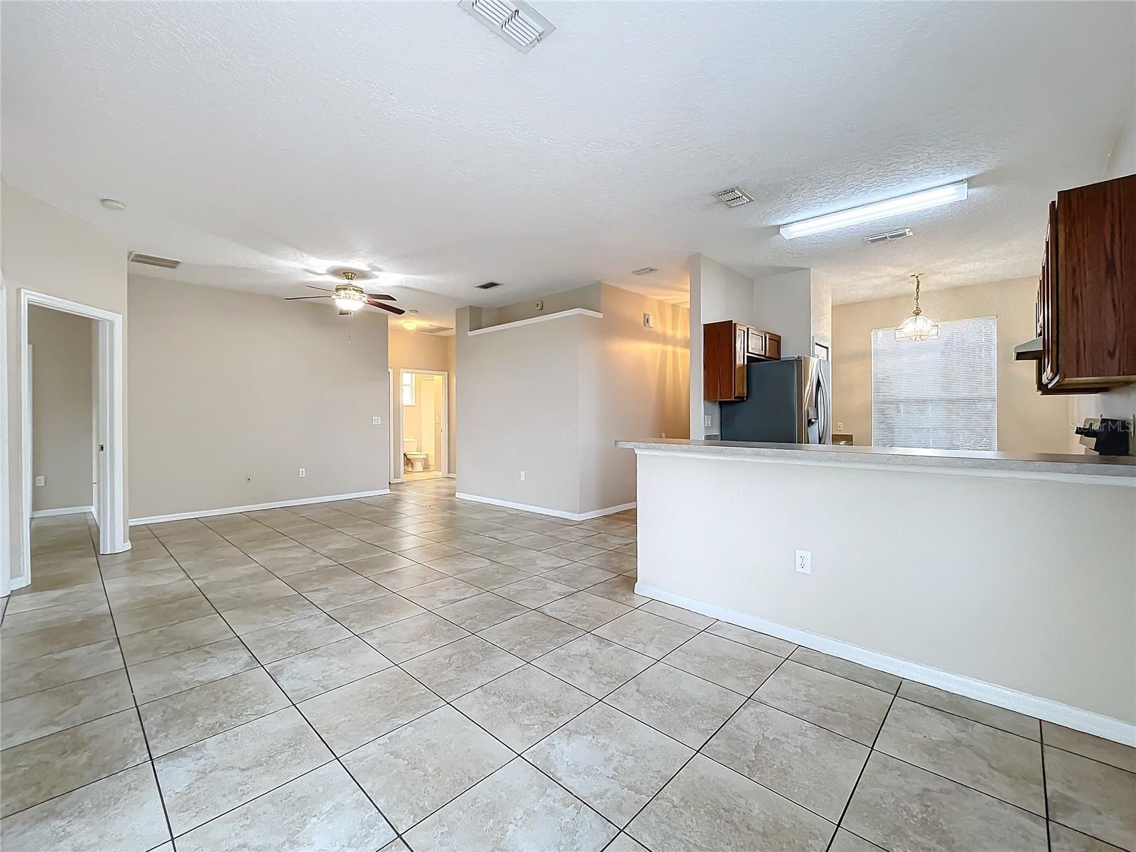 250 RYANS RIDGE AVE, EUSTIS, FL, 32726