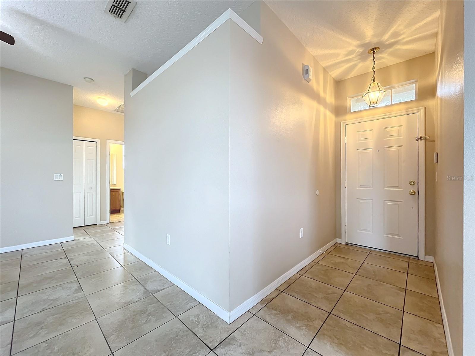 250 RYANS RIDGE AVE, EUSTIS, FL, 32726
