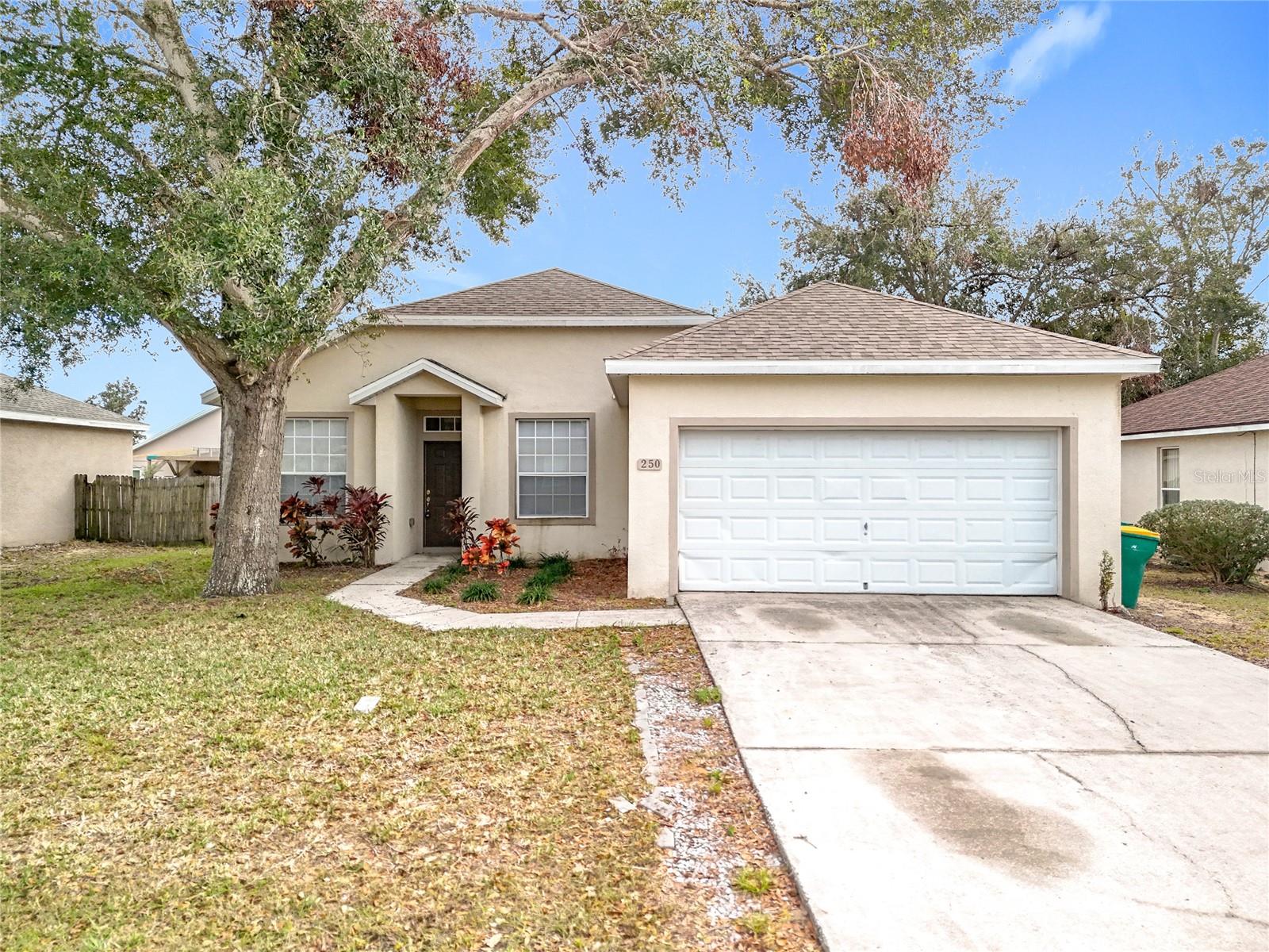 250 RYANS RIDGE AVE, EUSTIS, FL, 32726