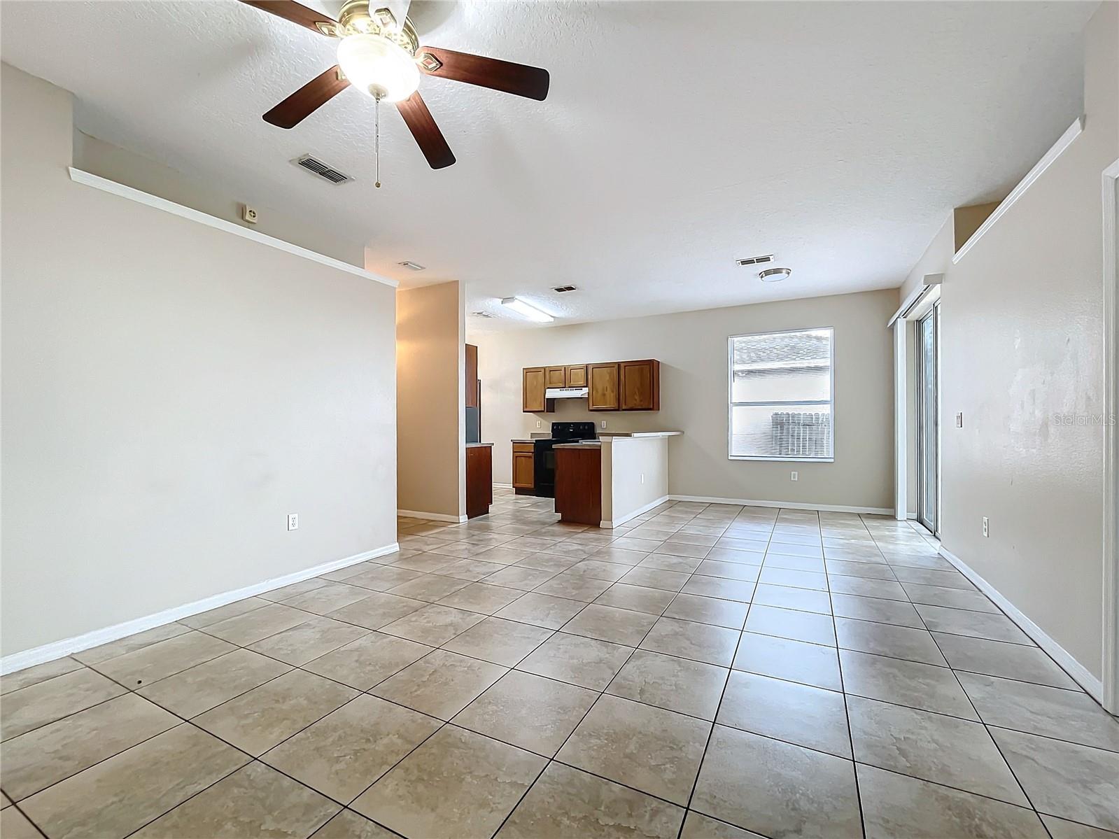 250 RYANS RIDGE AVE, EUSTIS, FL, 32726