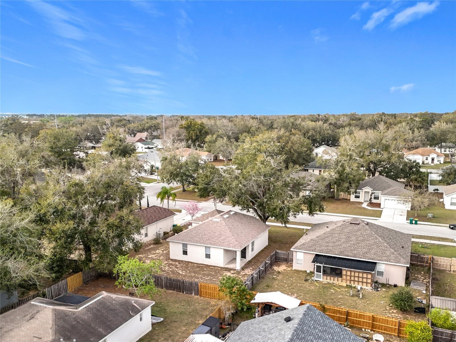 250 RYANS RIDGE AVE, EUSTIS, FL, 32726