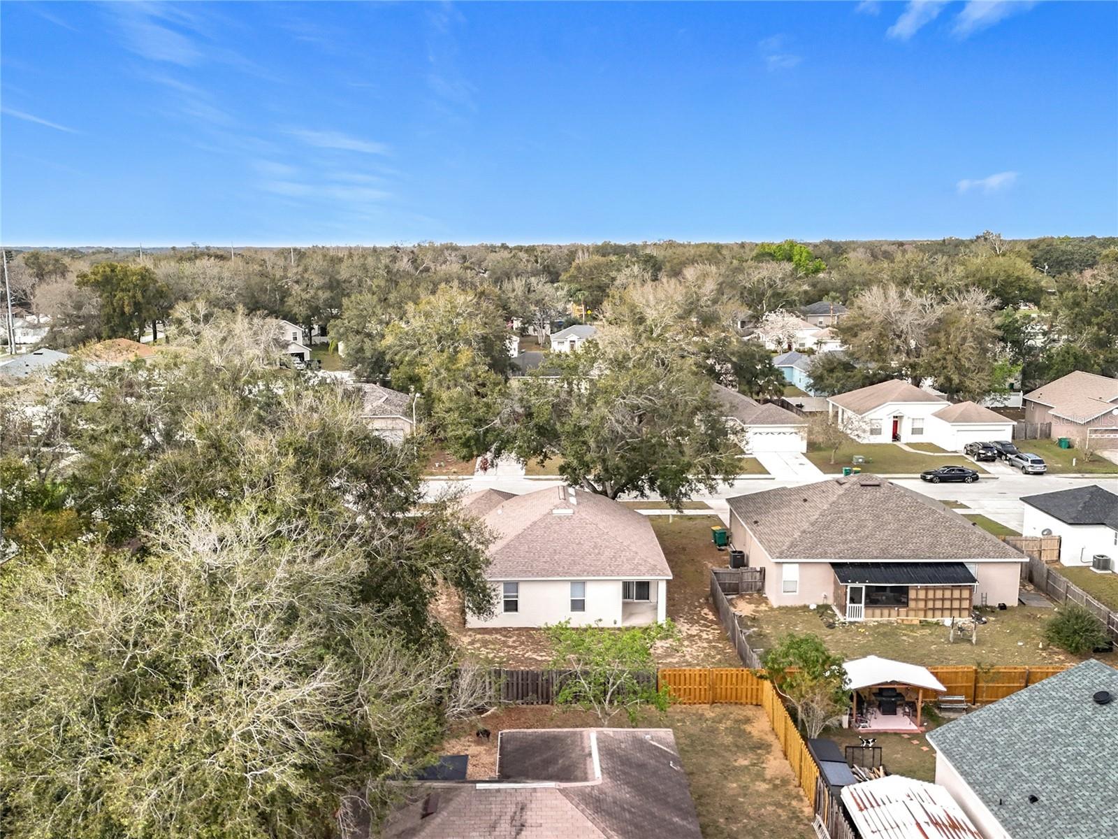 250 RYANS RIDGE AVE, EUSTIS, FL, 32726