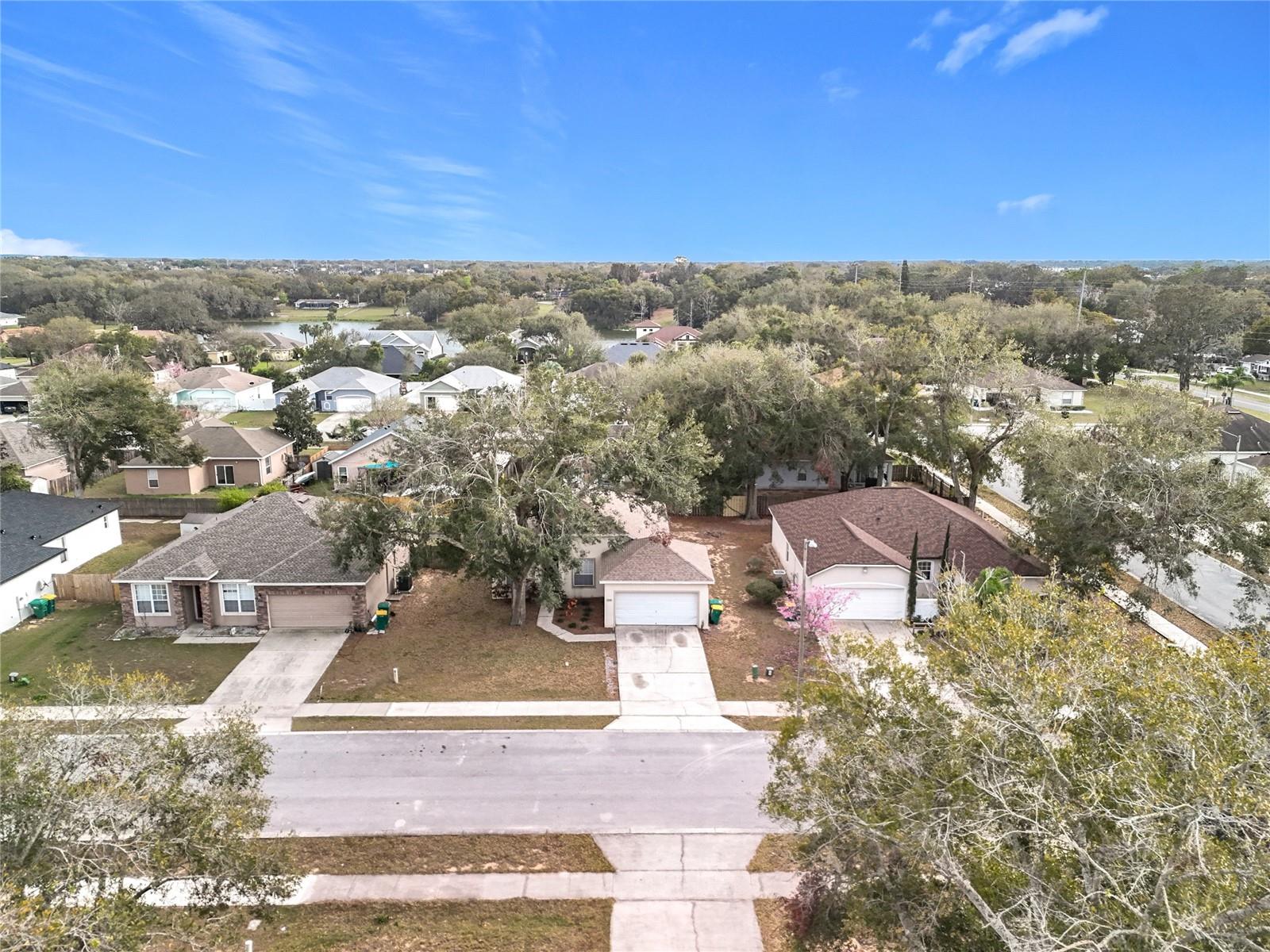 250 RYANS RIDGE AVE, EUSTIS, FL, 32726
