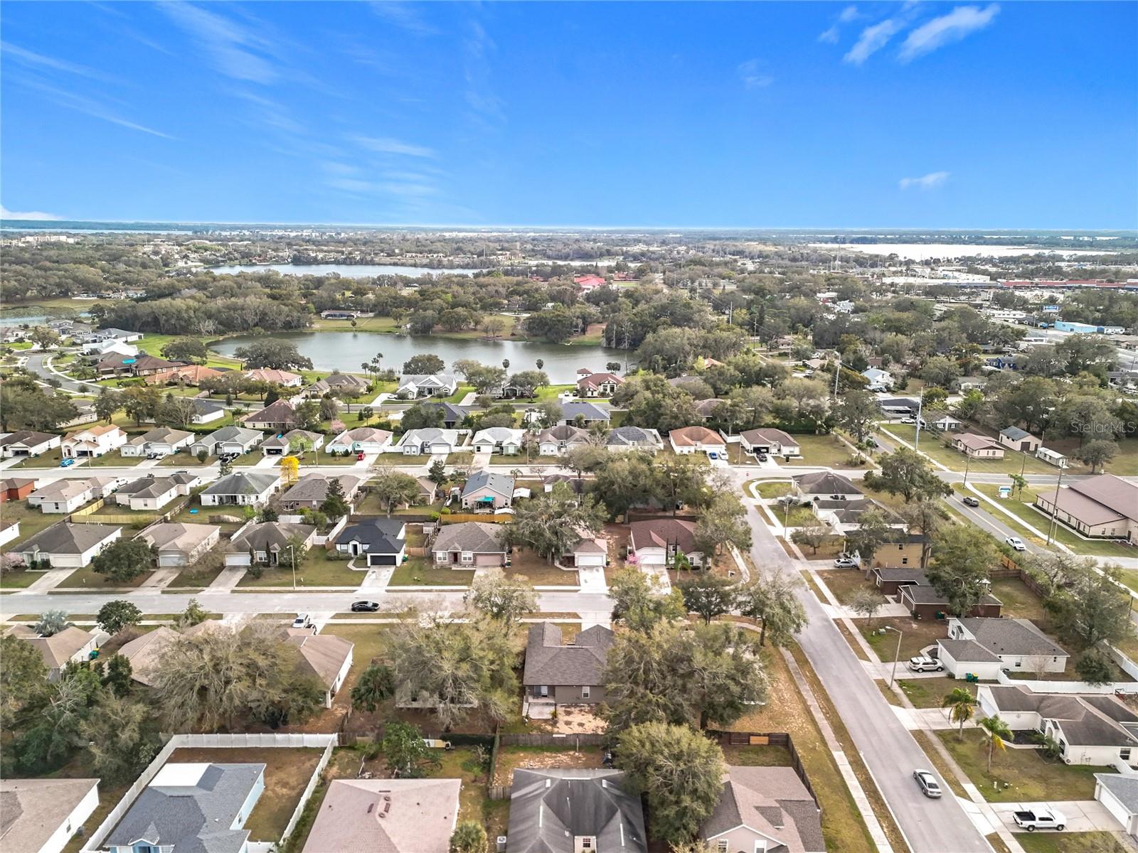 250 RYANS RIDGE AVE, EUSTIS, FL, 32726