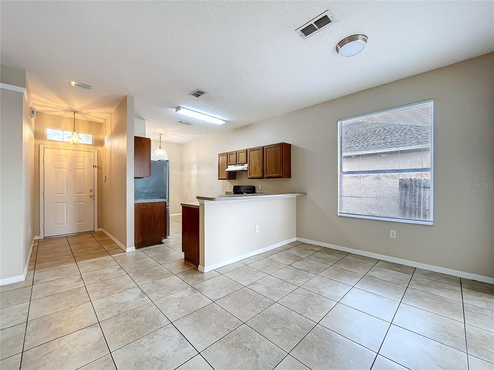 250 RYANS RIDGE AVE, EUSTIS, FL, 32726