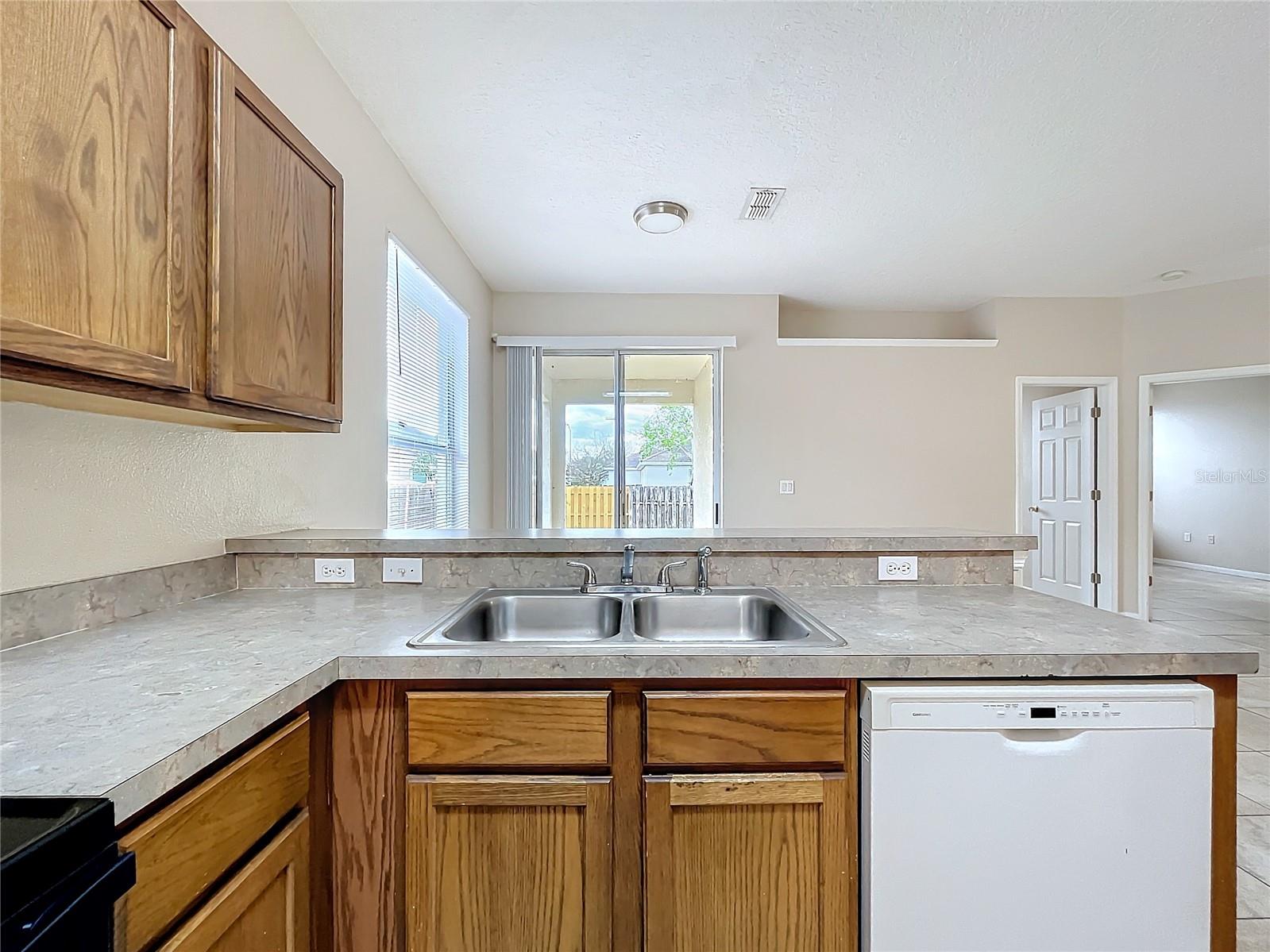 250 RYANS RIDGE AVE, EUSTIS, FL, 32726