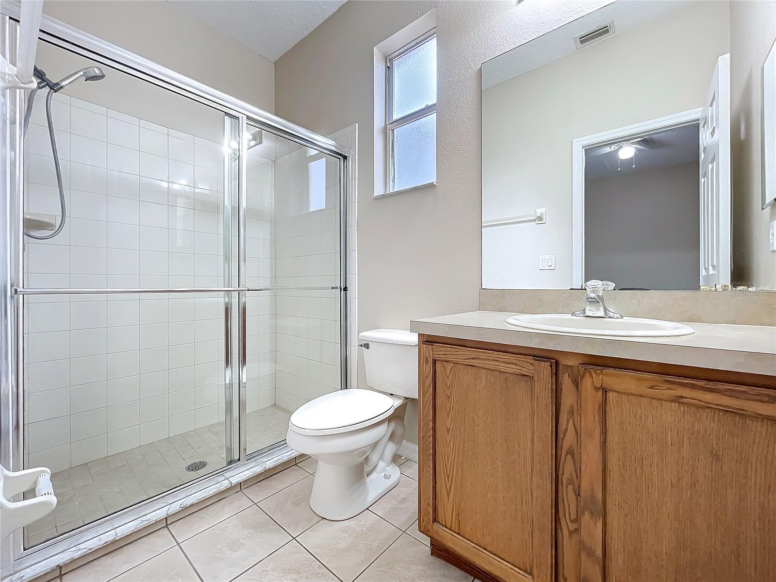 250 RYANS RIDGE AVE, EUSTIS, FL, 32726