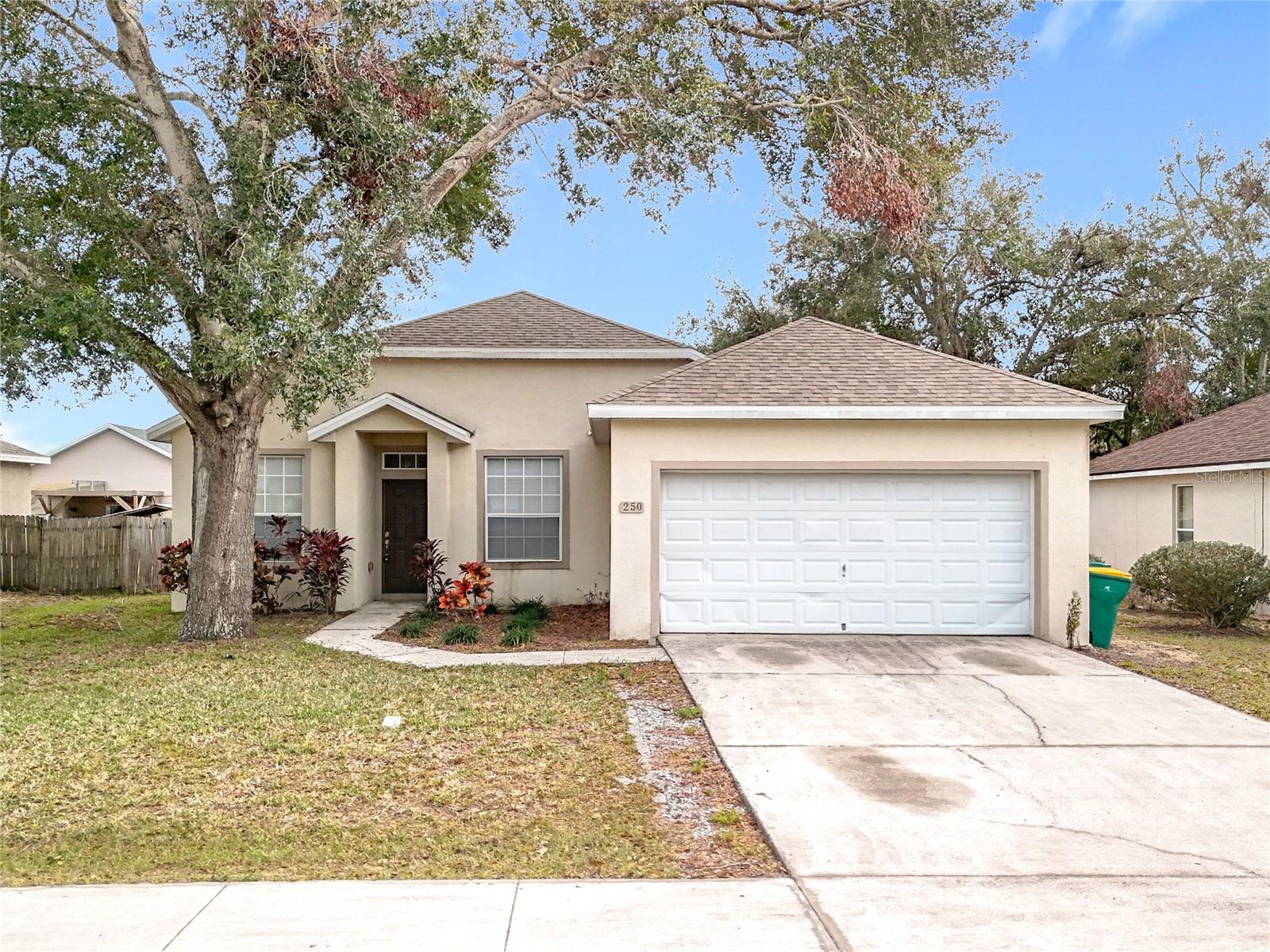 250 RYANS RIDGE AVE, EUSTIS, FL, 32726