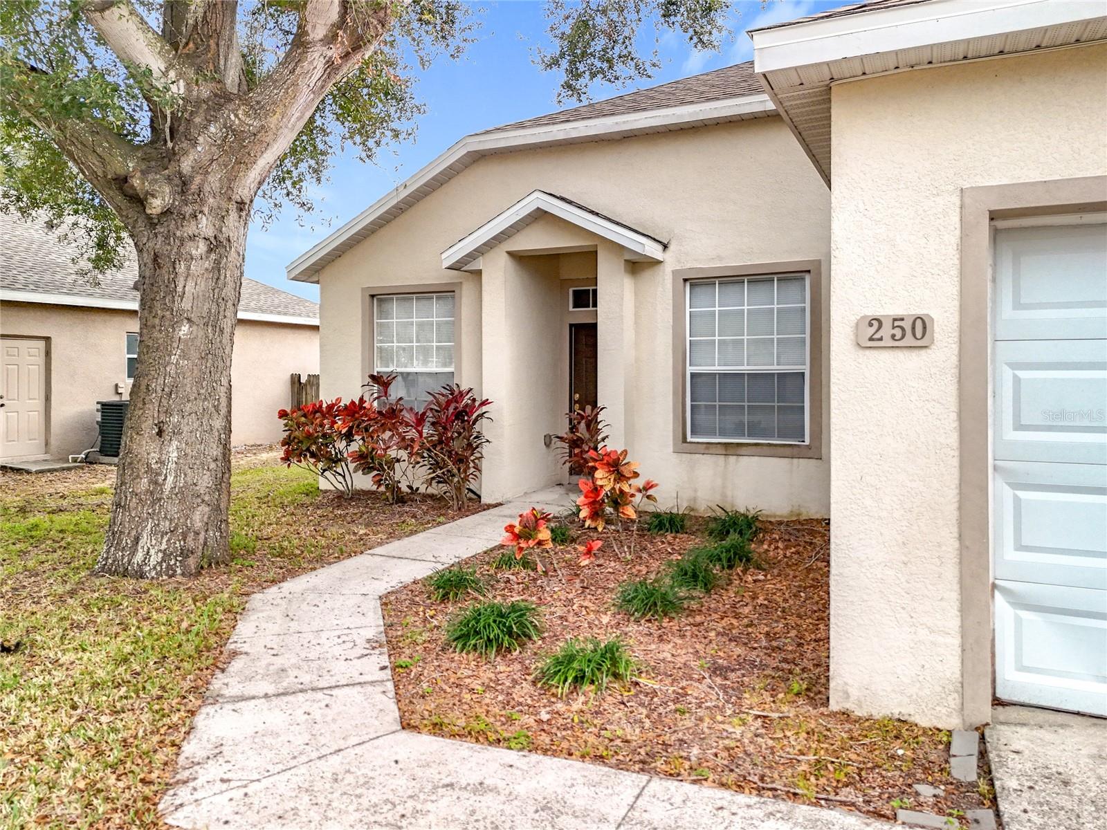 250 RYANS RIDGE AVE, EUSTIS, FL, 32726