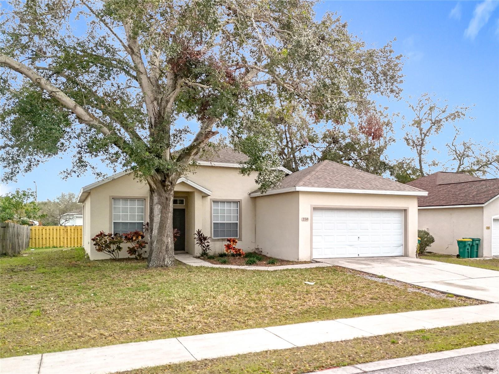 250 RYANS RIDGE AVE, EUSTIS, FL, 32726