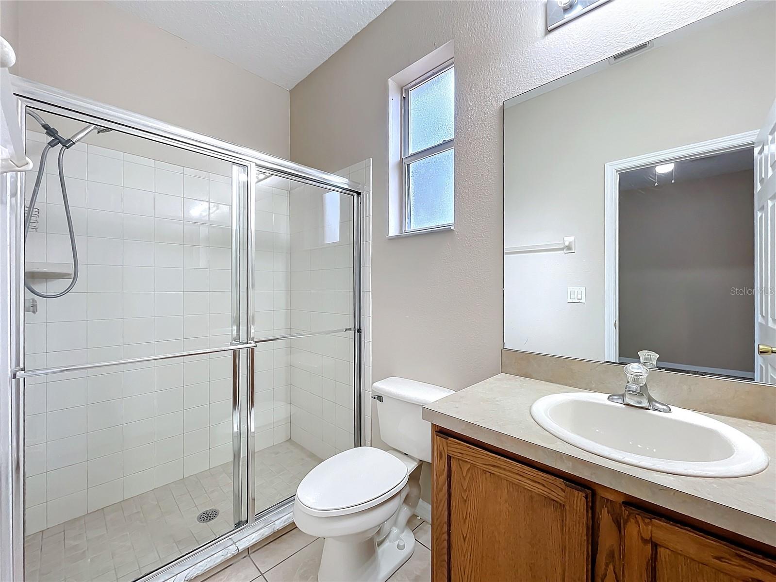250 RYANS RIDGE AVE, EUSTIS, FL, 32726